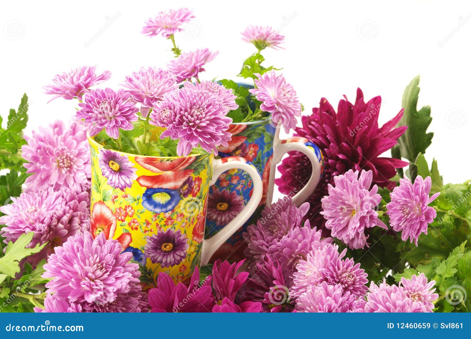Cups in flowers stock image. Image of flower, variegated 12460659