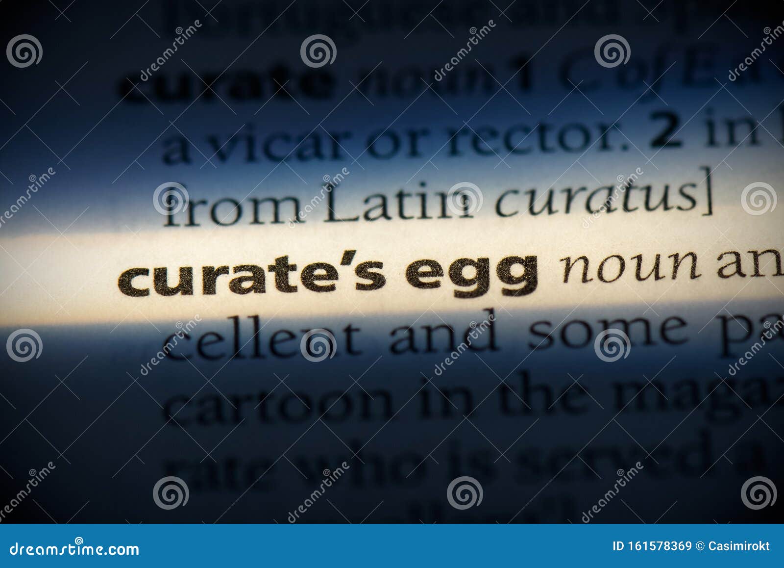 Curate`s egg stock image. Image of macro, focus, word 161578369