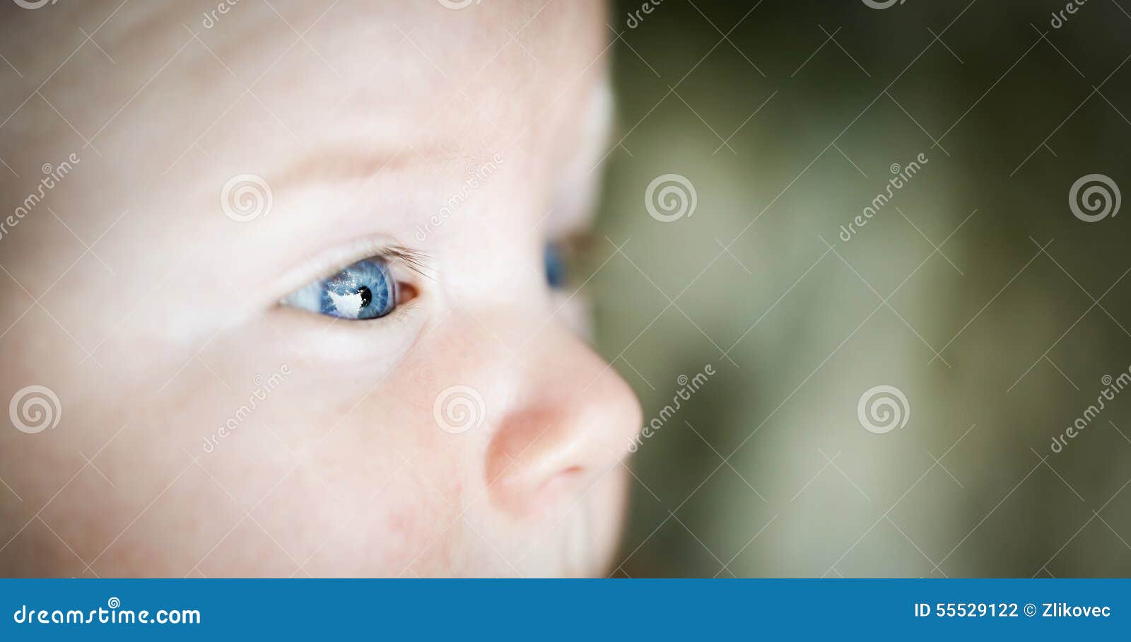 curious baby with blue eyes observing the surroundings