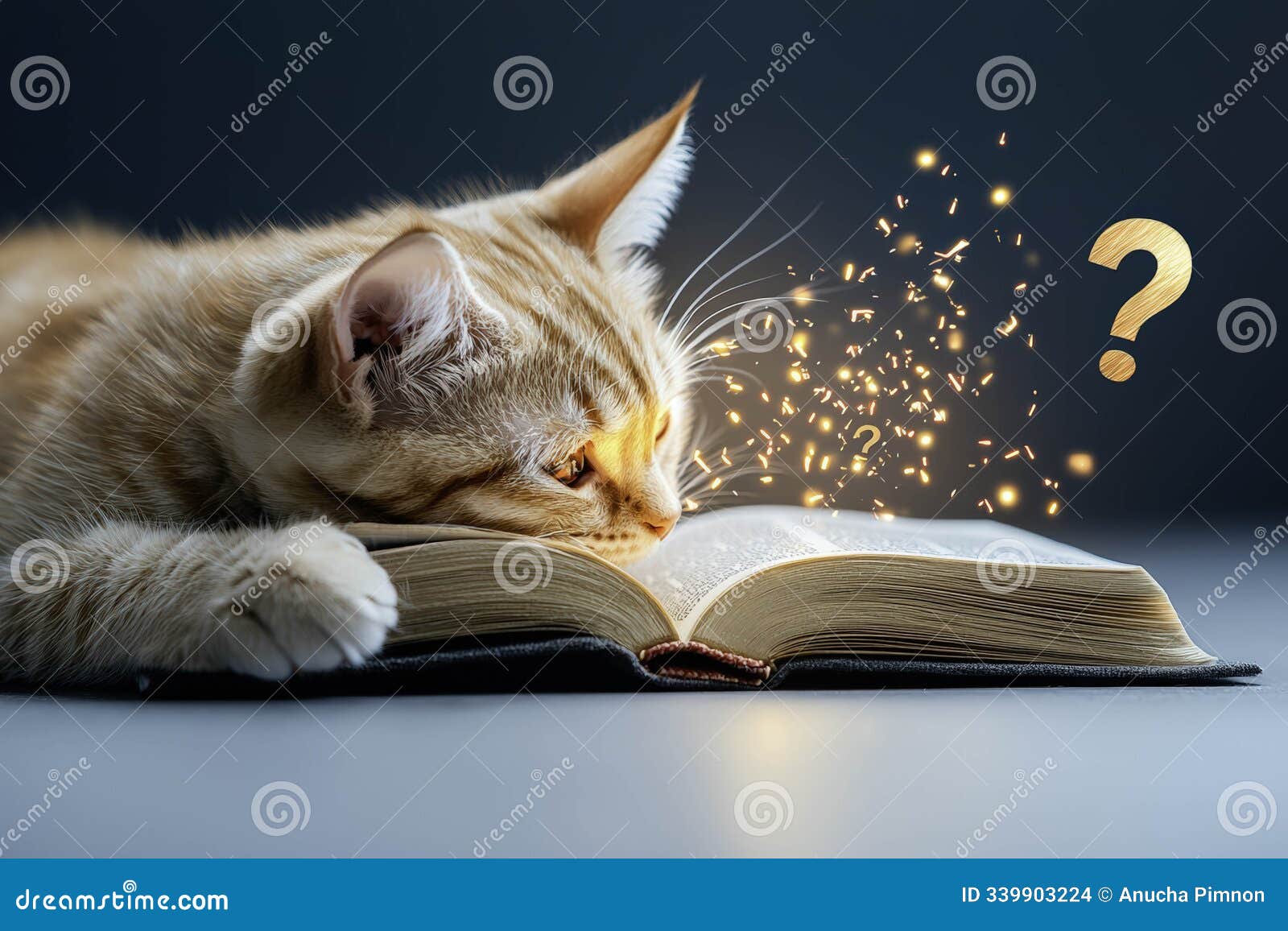 curious orange kitten leans against open book as sparks generative ai 