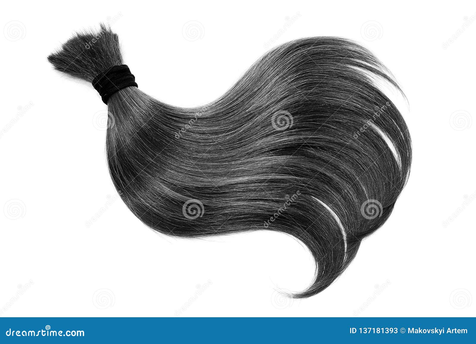 Curl of Natural Black Hair, Isolated on White Background. Ponytail Close Up  Stock Image - Image of colours, natural: 137181393