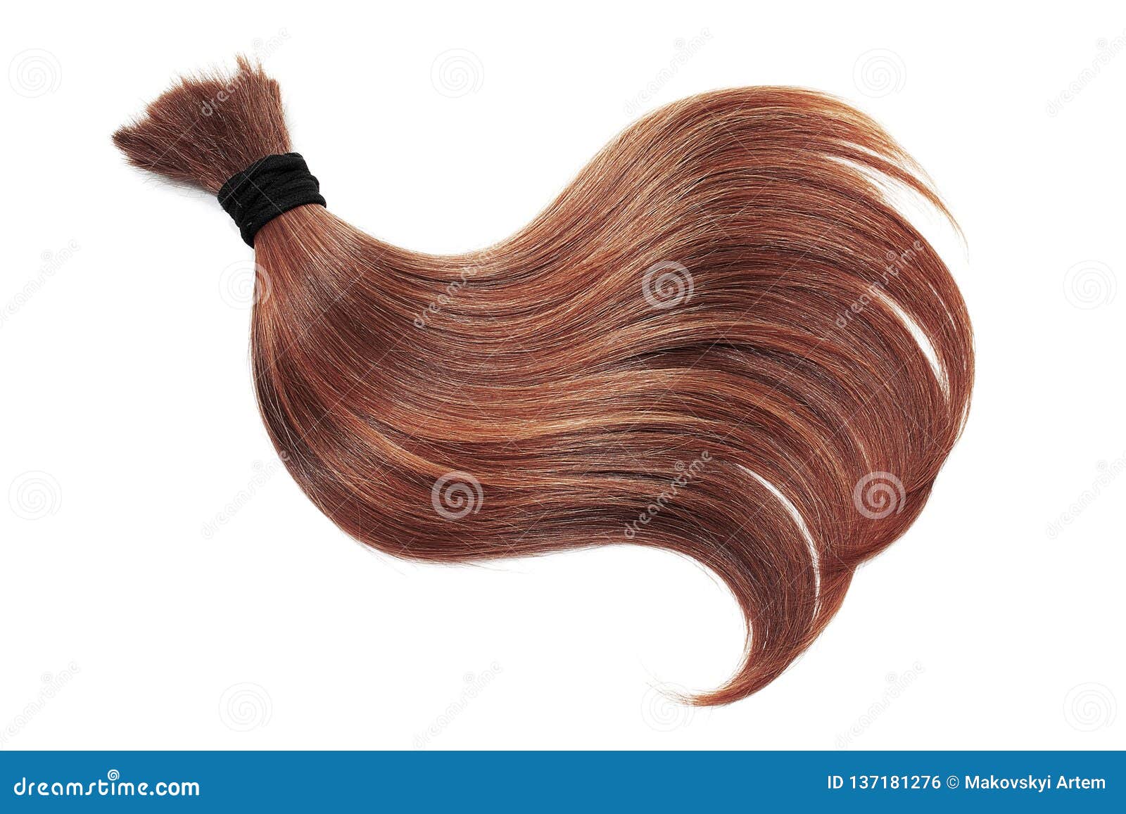 Curl of Natural Henna Hair, Isolated on White Background. Ponytail Close Up Stock Photo - Image of care, long: 137181276 Curl of Natural Henna Hair, Isolated on White Background. Ponytail Close Up Stock Photo - Image of care, long: 137181276
