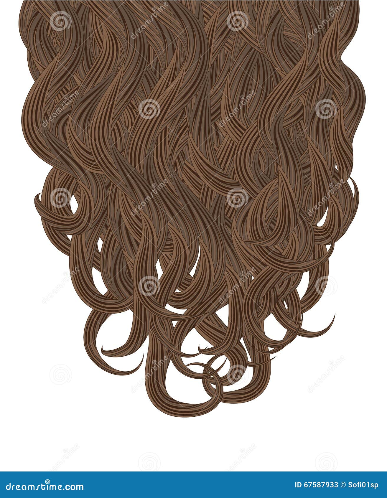 Curls Brown Hair Vector Illustration Stock Vector Illustration of