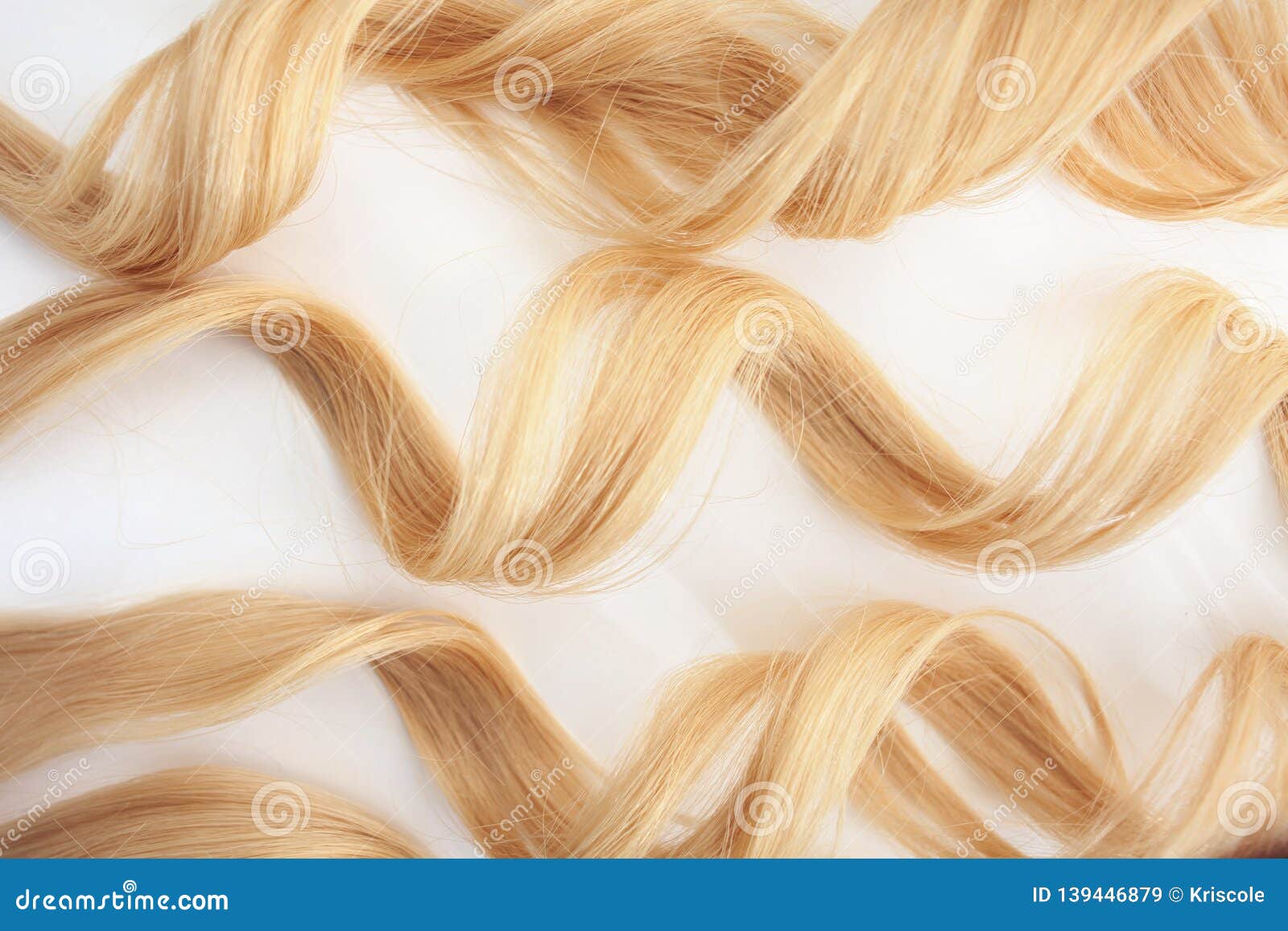 curls curled on the curling iron,  on white background. strand of blonde hair, hair care