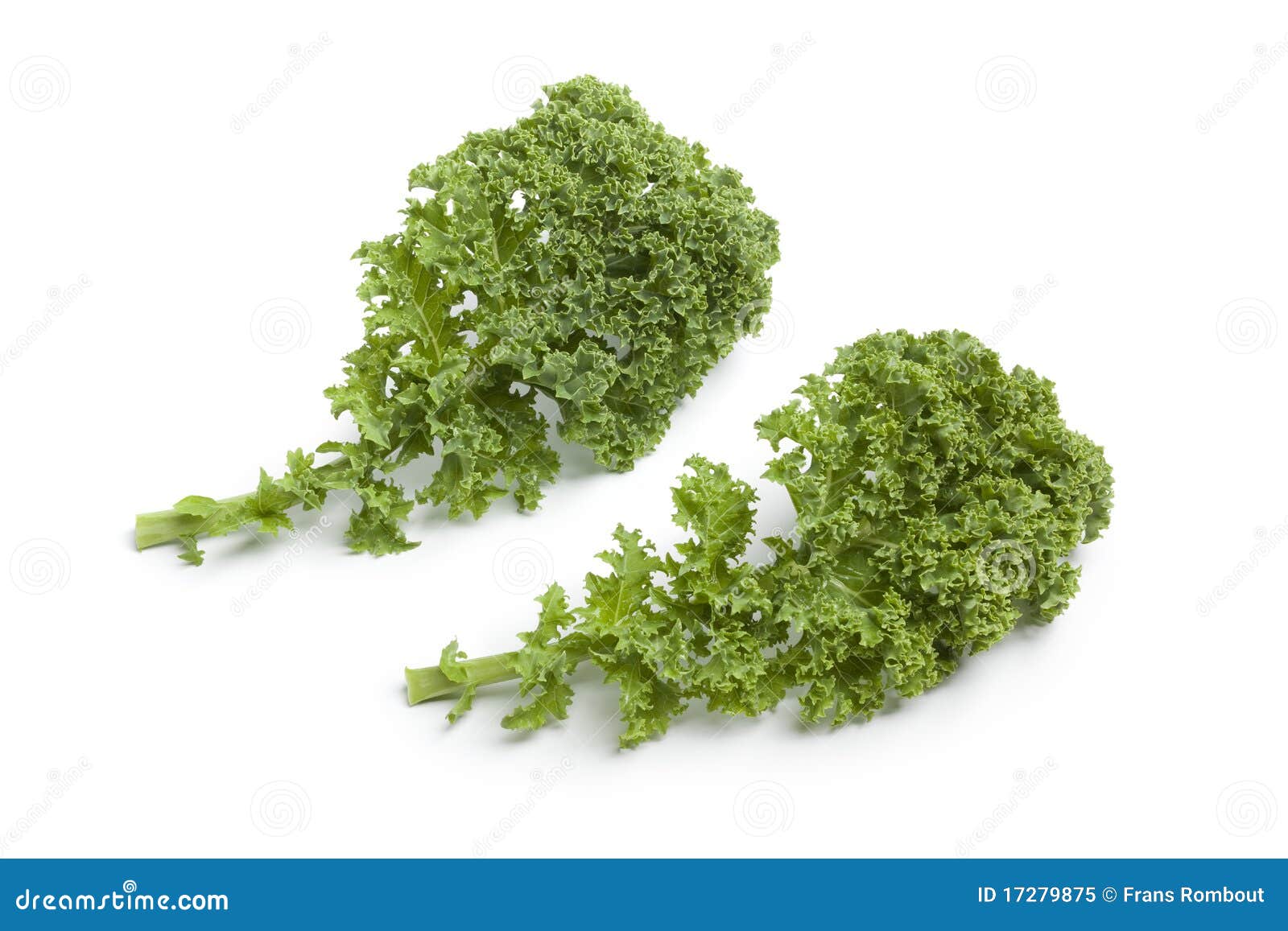 3,750 Curly Kale Leaves Stock Photos Free & RoyaltyFree Stock Photos