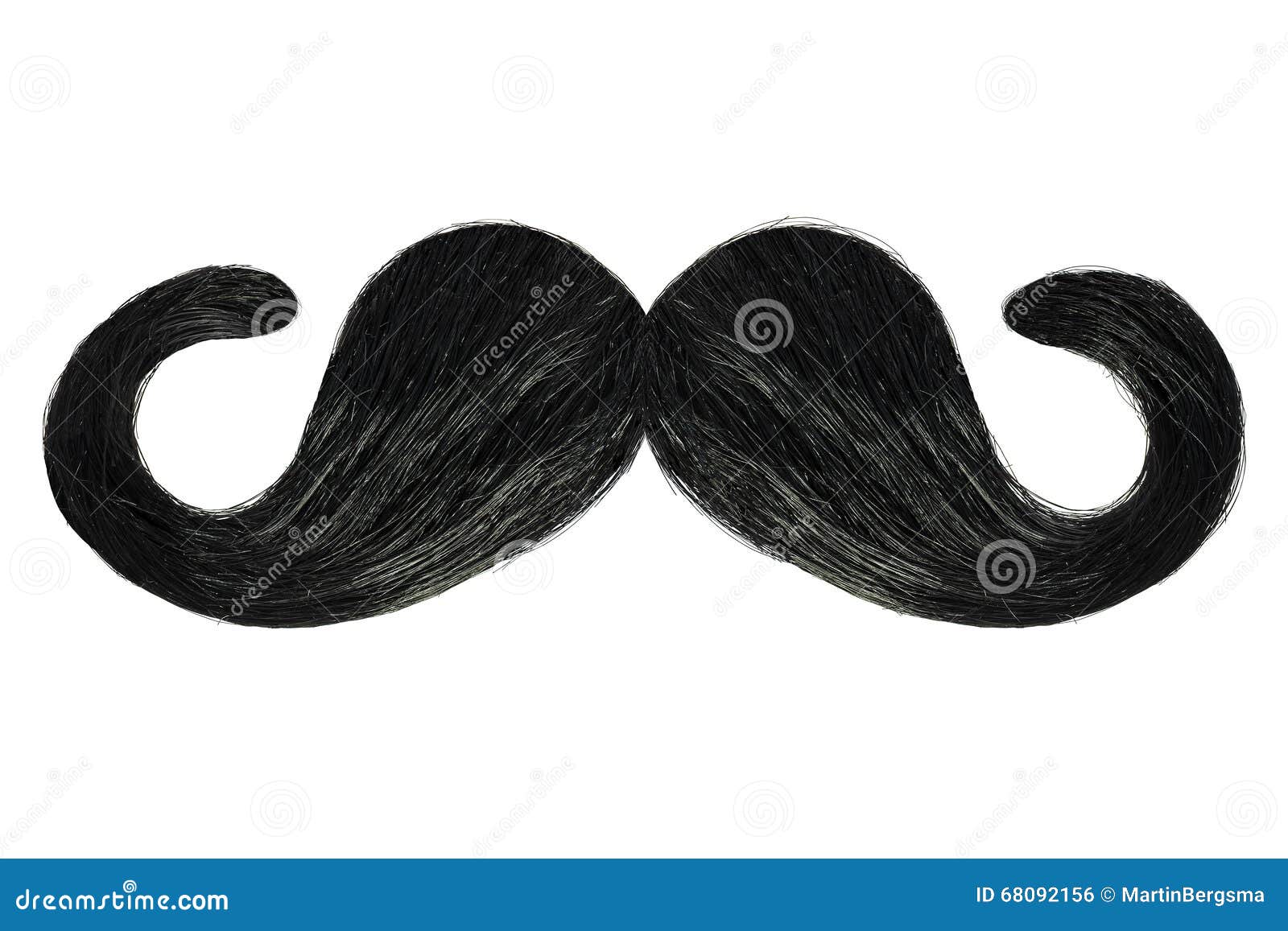 Curly Mustache Isolated on White Stock Photo Image of style, grow
