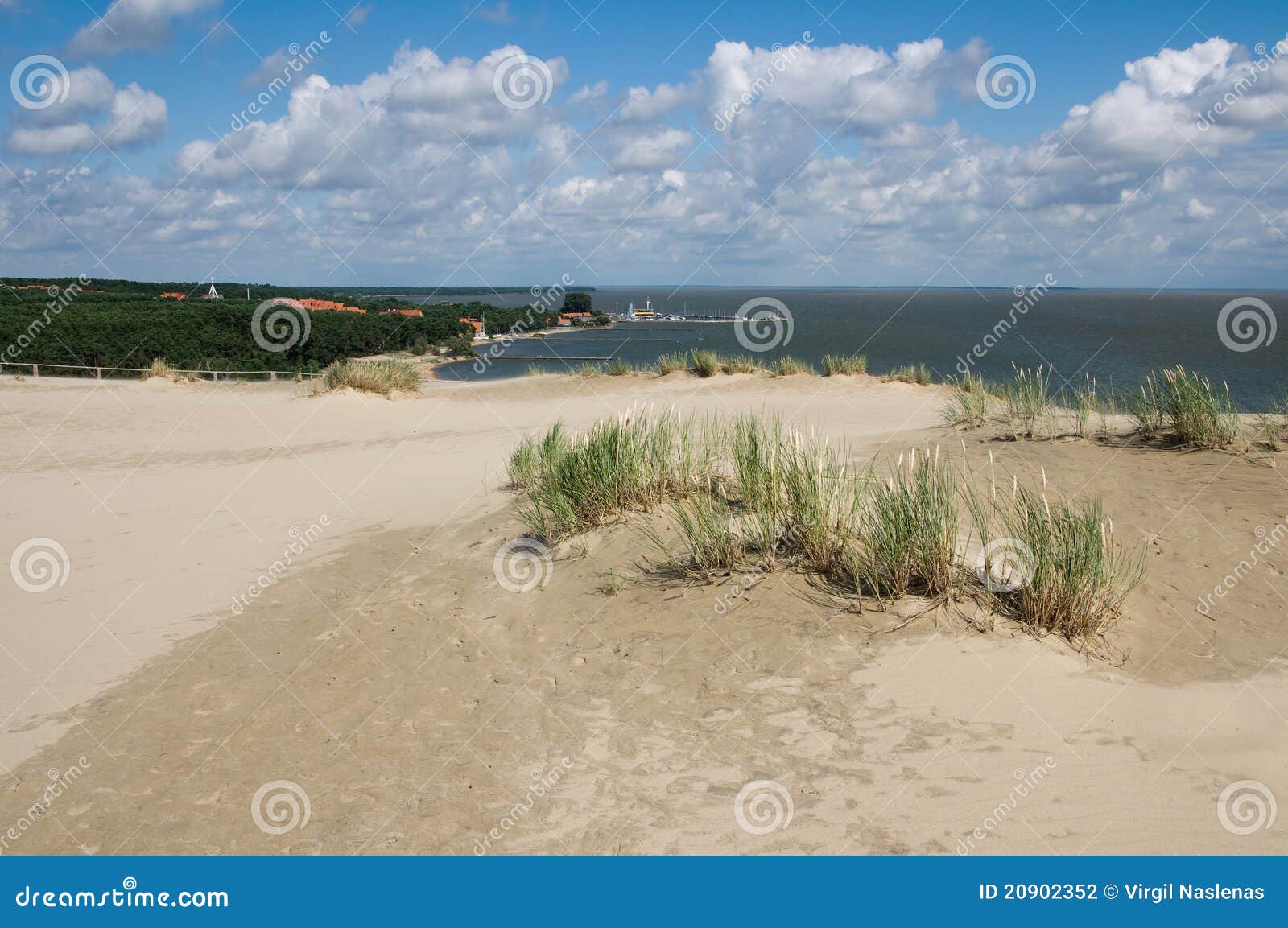 curonian spit panorama