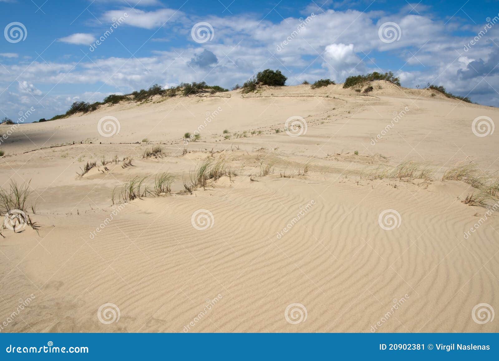 curonian spit sand dunes