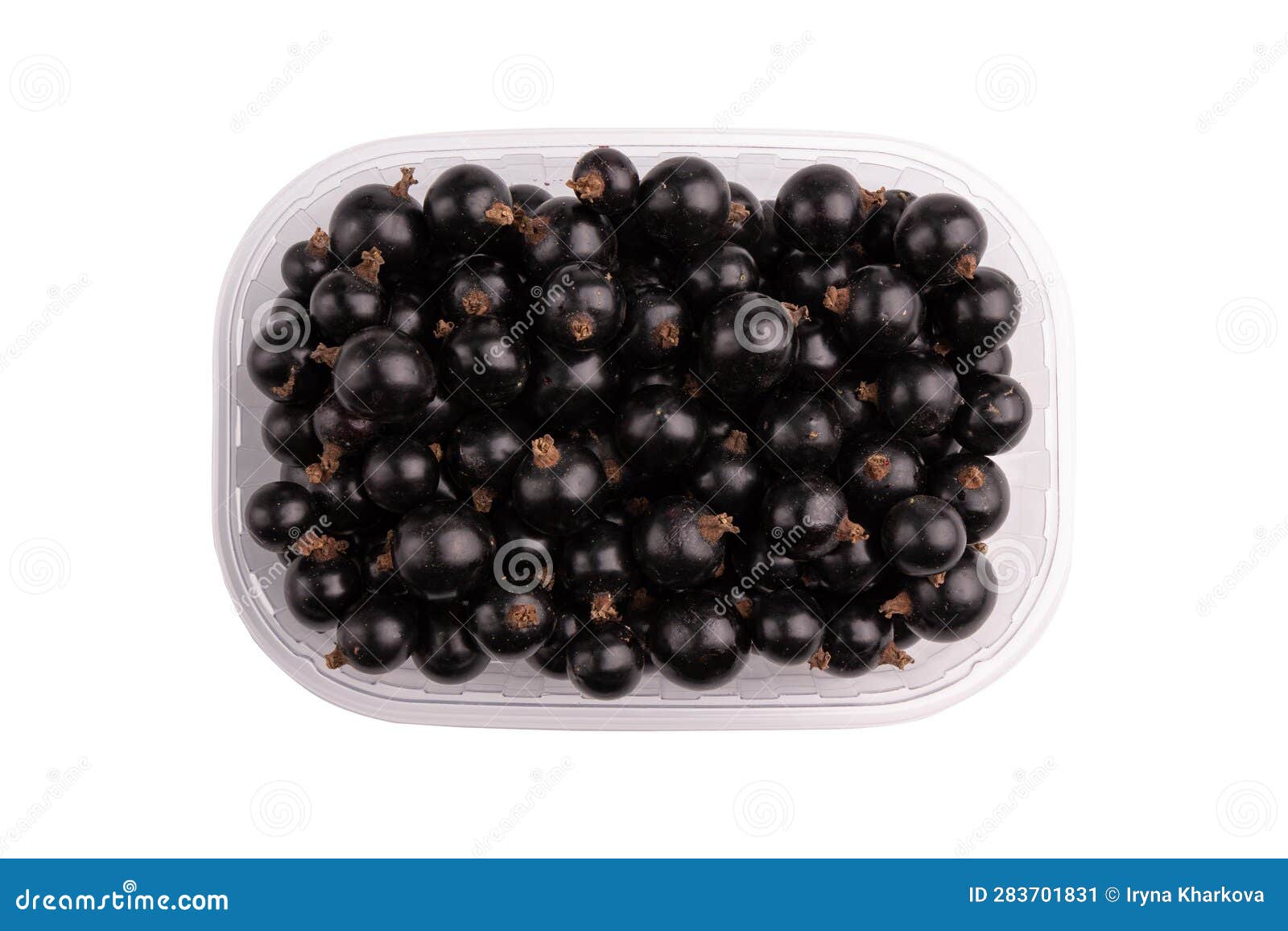 Currant Berries in Plastic Box Isolated on White Stock Image Image of