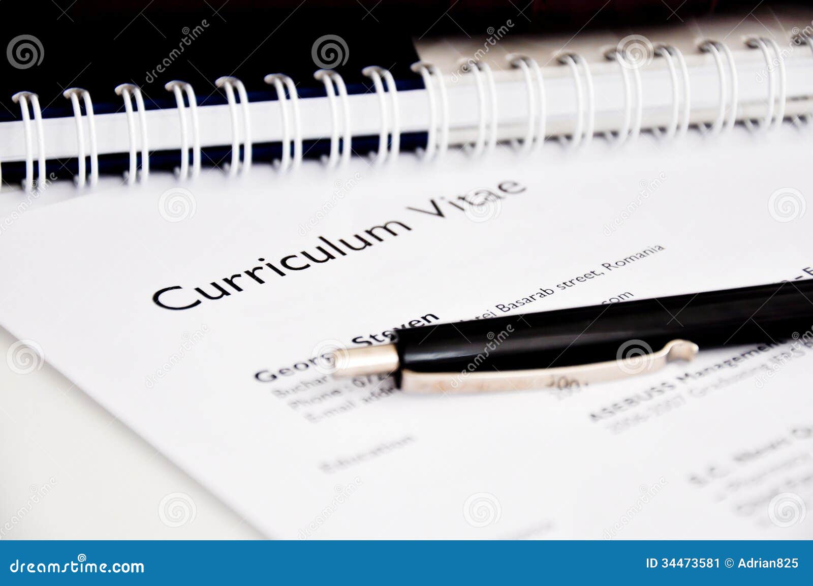 curriculum vitae or resume