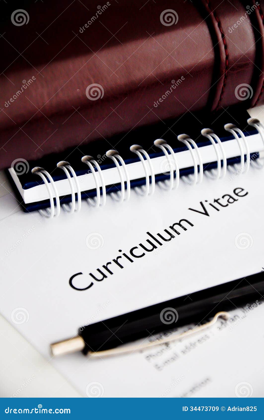 curriculum vitae or resume