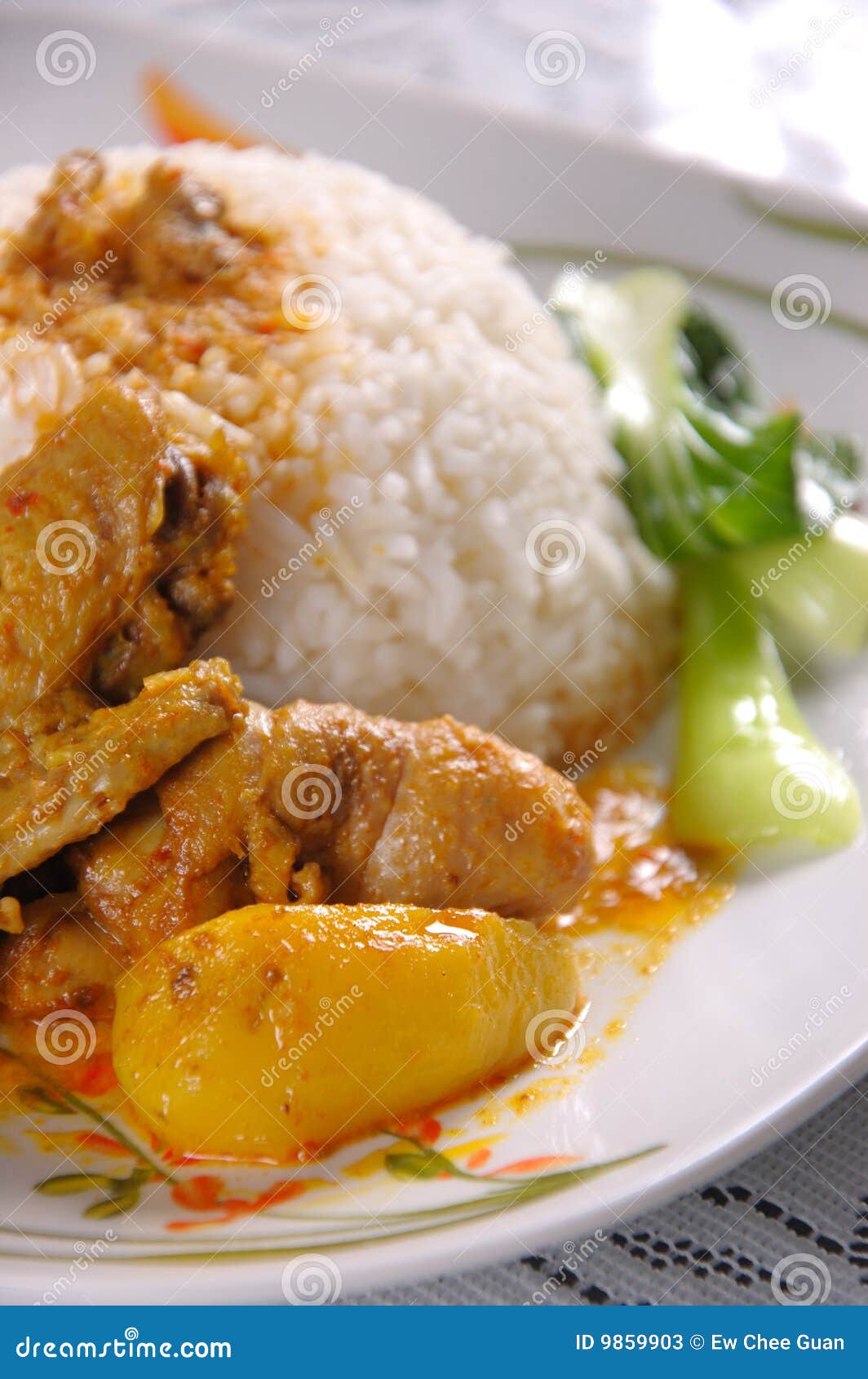 Curry chicken rice stock image. Image of malaysian, asian 9859903