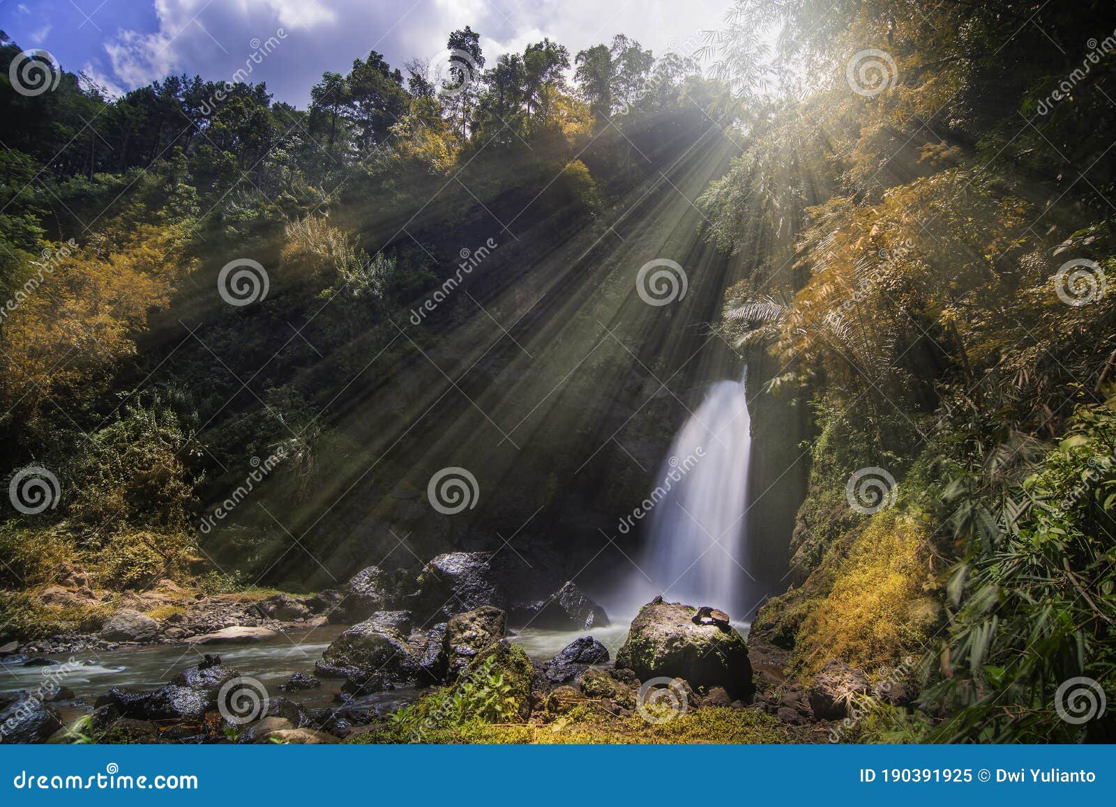 Waterfall in Tropical Garden Stock - Image of outdoor, green: 190391925