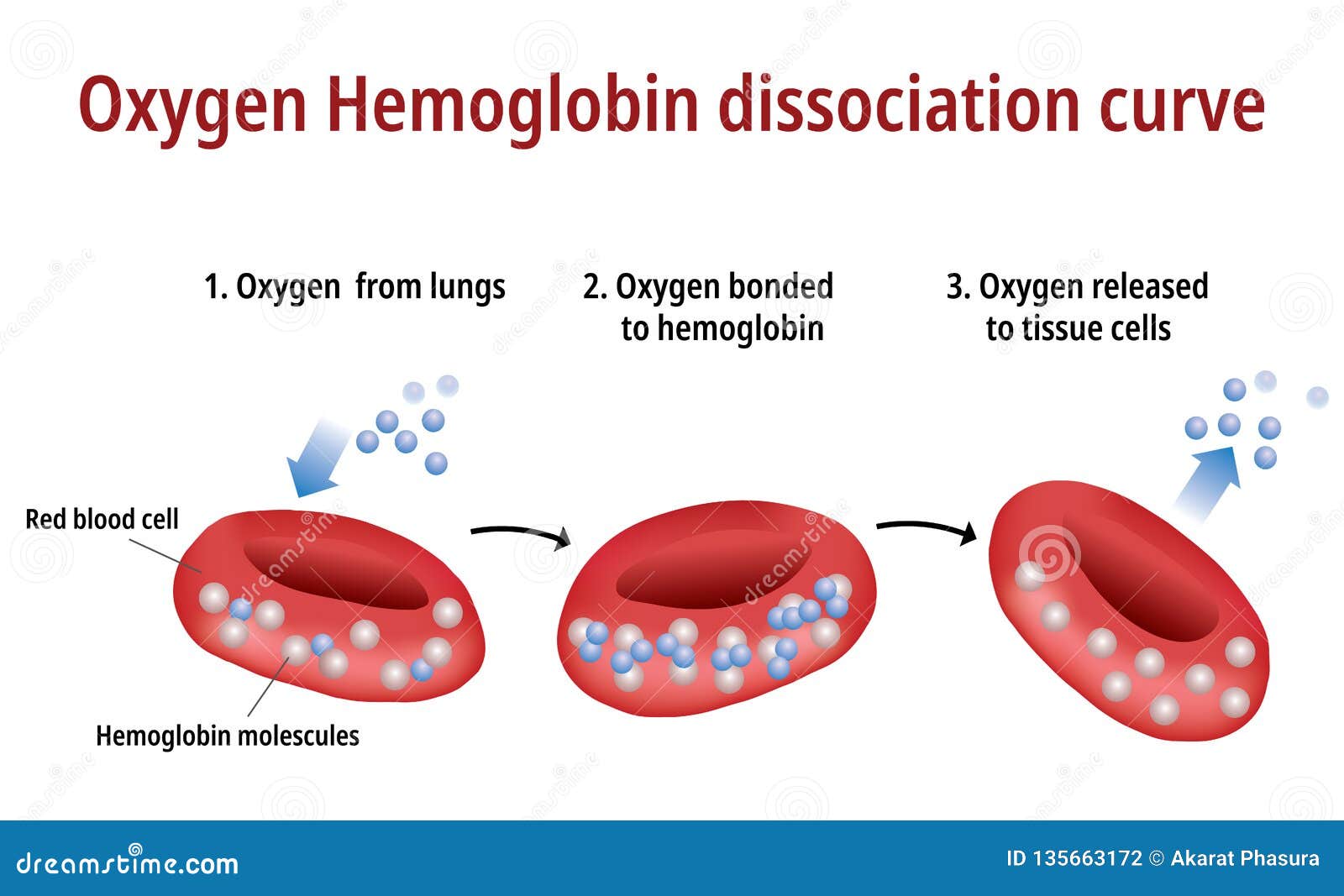redus hemoglobina i varicoza