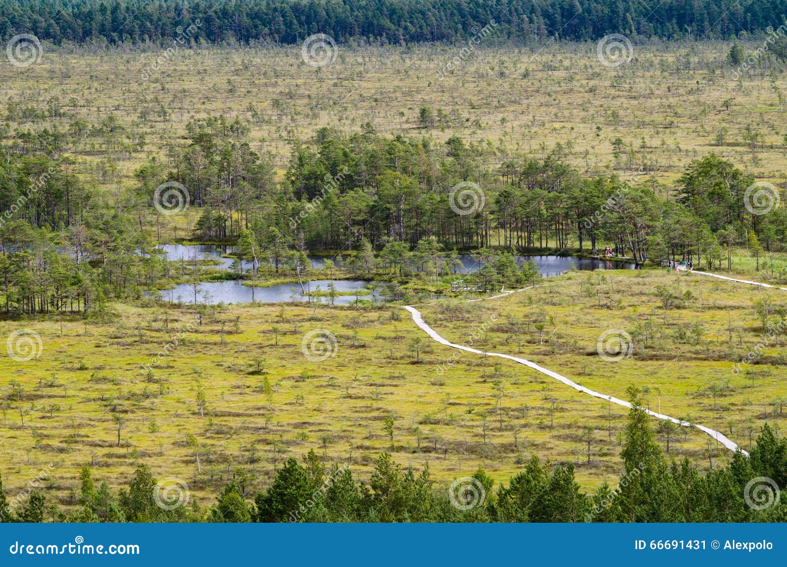 curve hiking trails of tolkuse bog, estonia