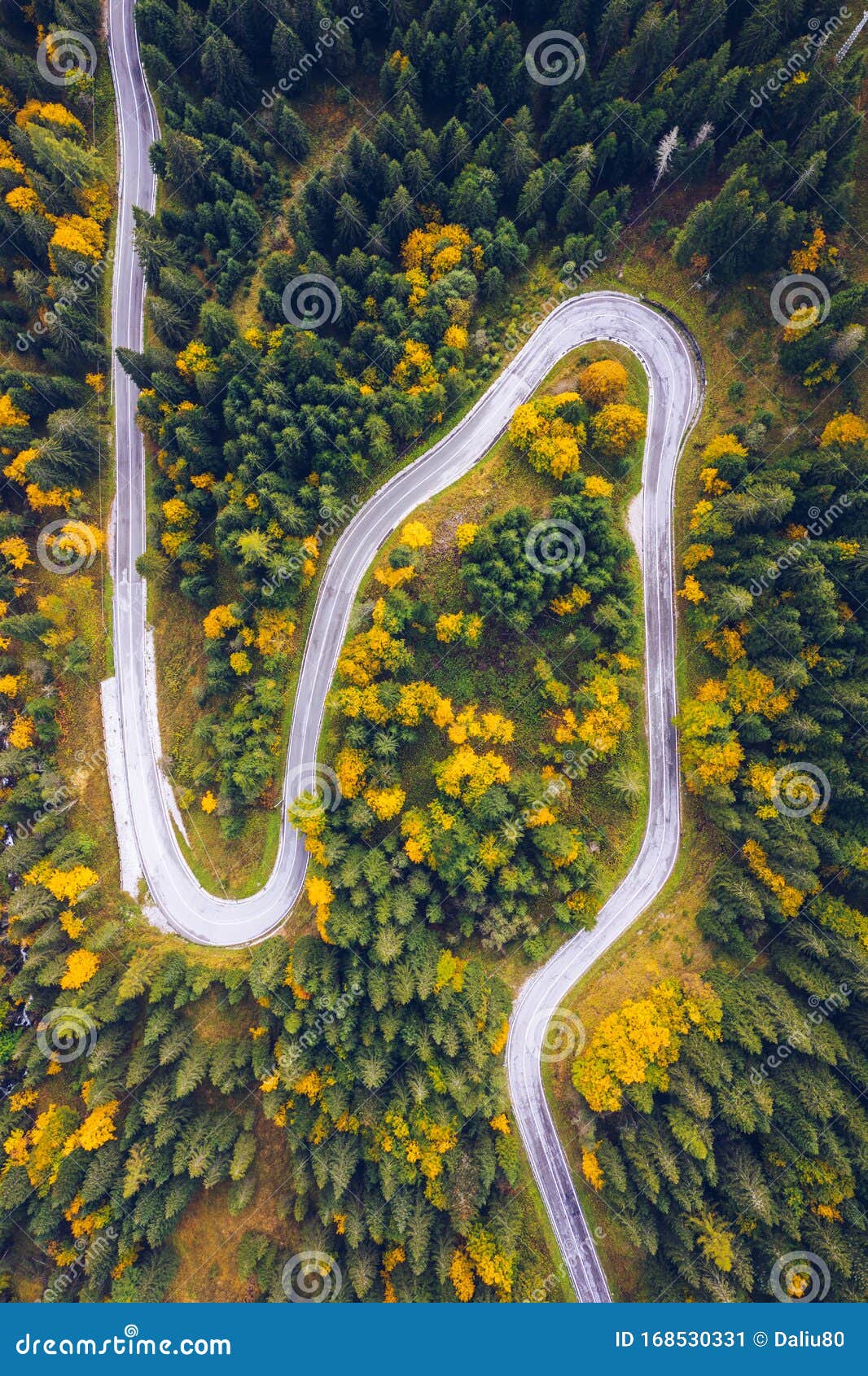 Curved Bending Road in the Forest. Aerial Image of a Road. Forrest Pattern. Scenic Curvy Road Seen from a Drone in Autumn Stock Image - Image of high, bending: 168530331 Curved Bending Road in the Forest. Aerial Image of a Road. Forrest Pattern. Scenic Curvy Road Seen from a Drone in Autumn Stock Image - Image of high, bending: 168530331