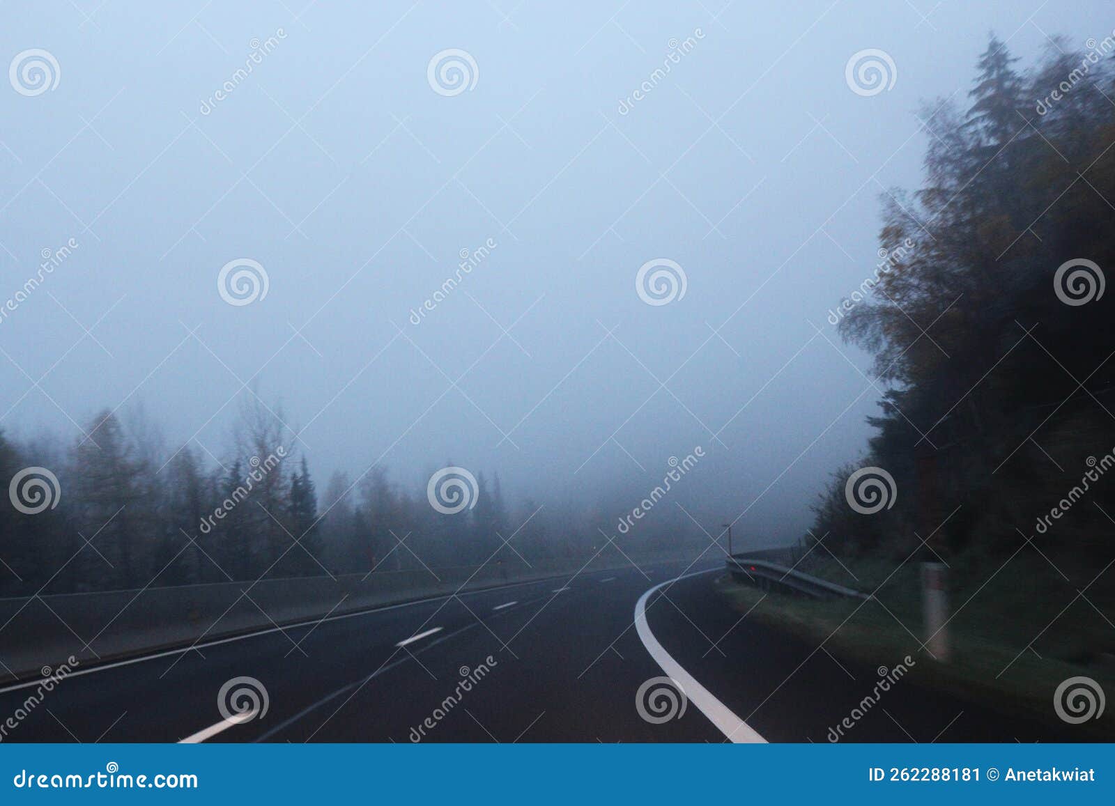 curved higway landscape with fog and forest on sides