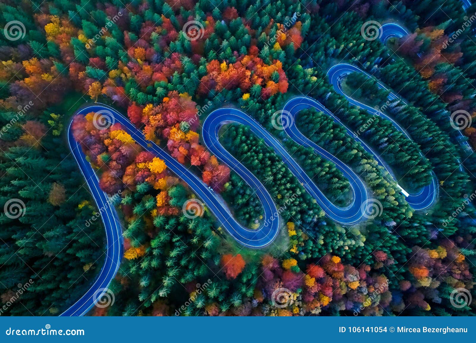 curved road trough the colorful autumn forest