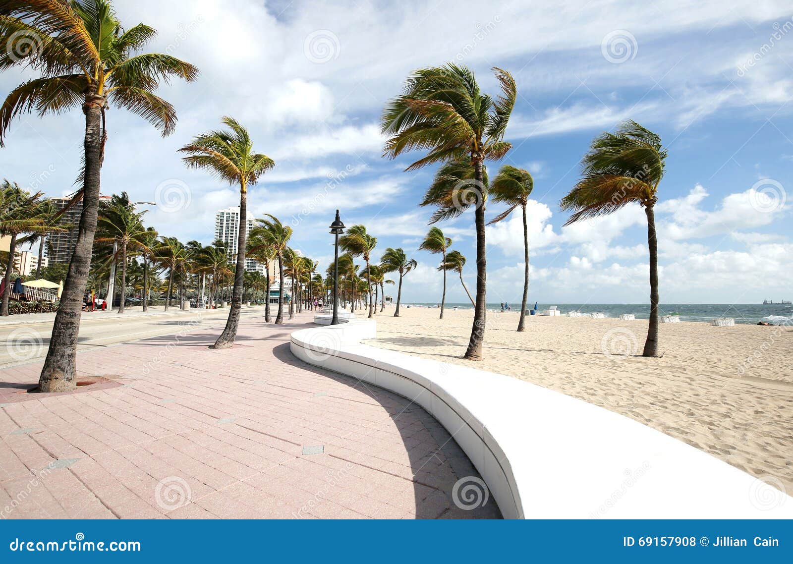 curved wall and blowing palm trees on fort lauderdale beach
