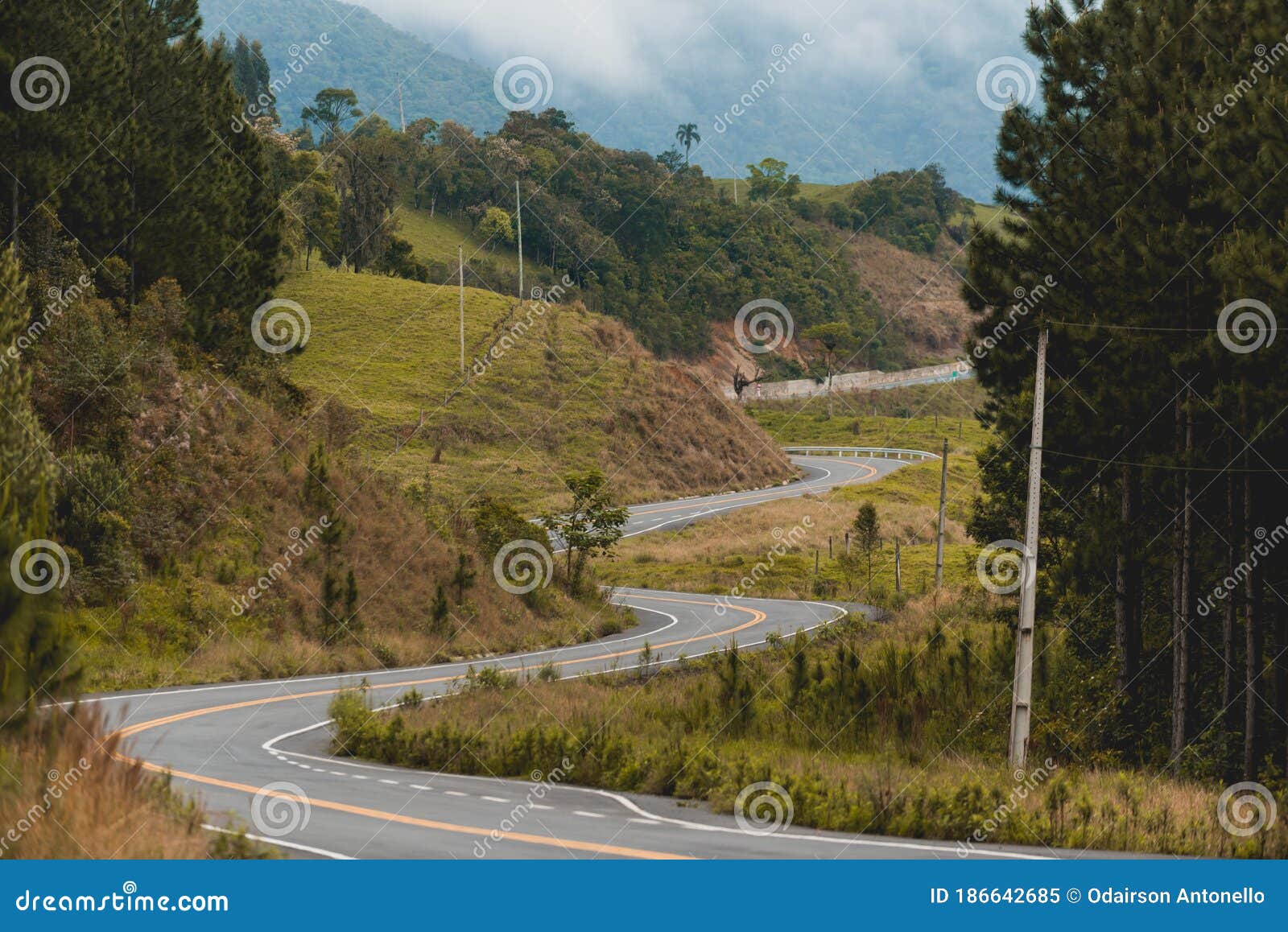 curves in the mountains