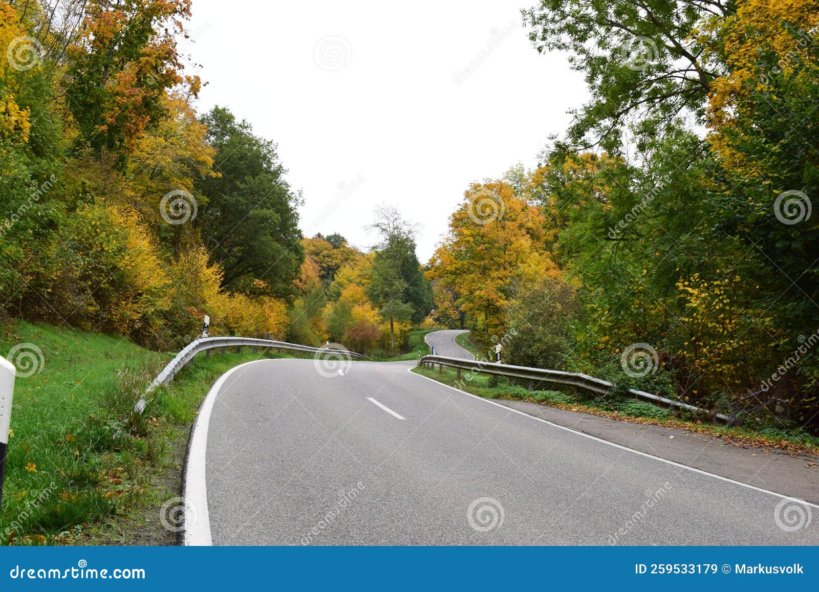 curvy country road in colorful autumn forest