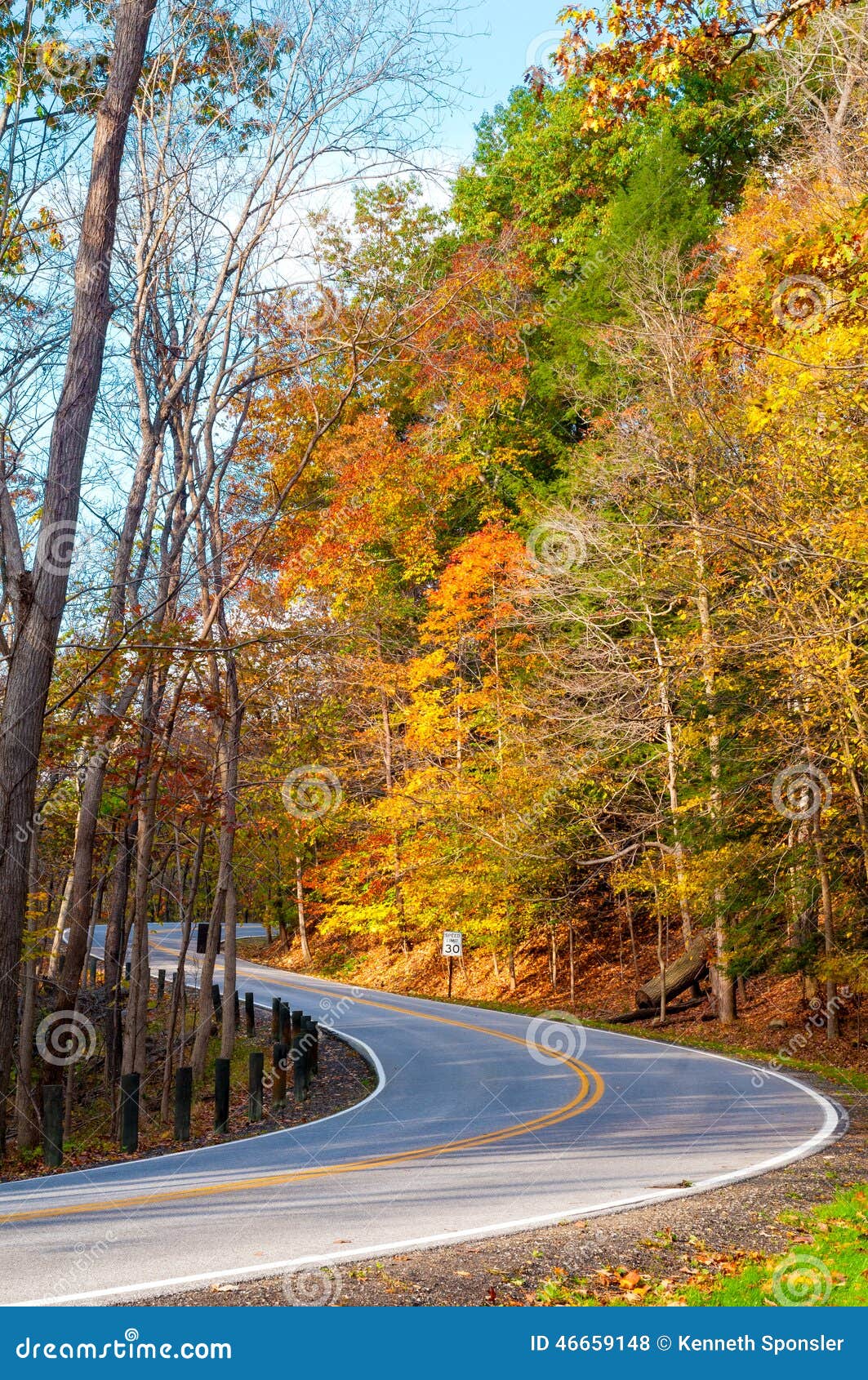 Curvy Herbststraße. Eine curvy Straße klettert aufwärts in einem Wald, der die Farben des Herbstes anzeigt