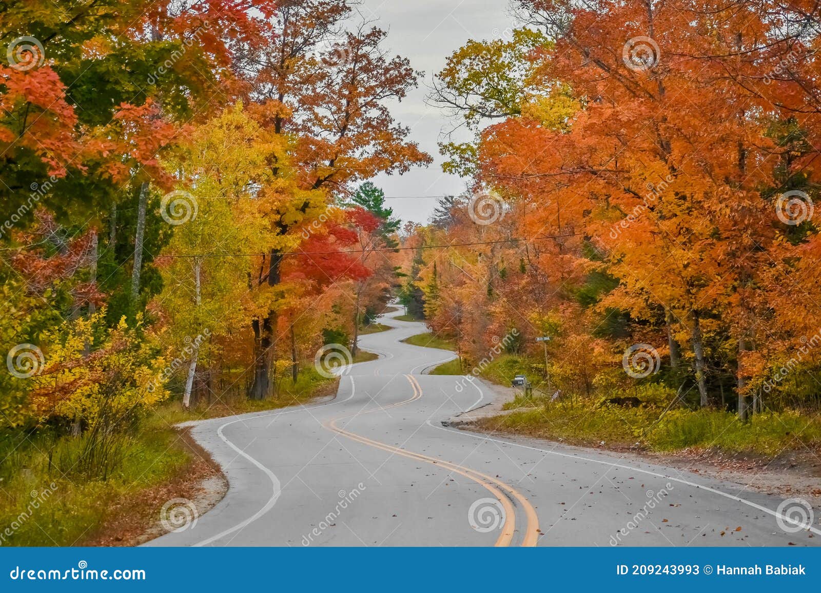 curvy, winding fall road in autumn