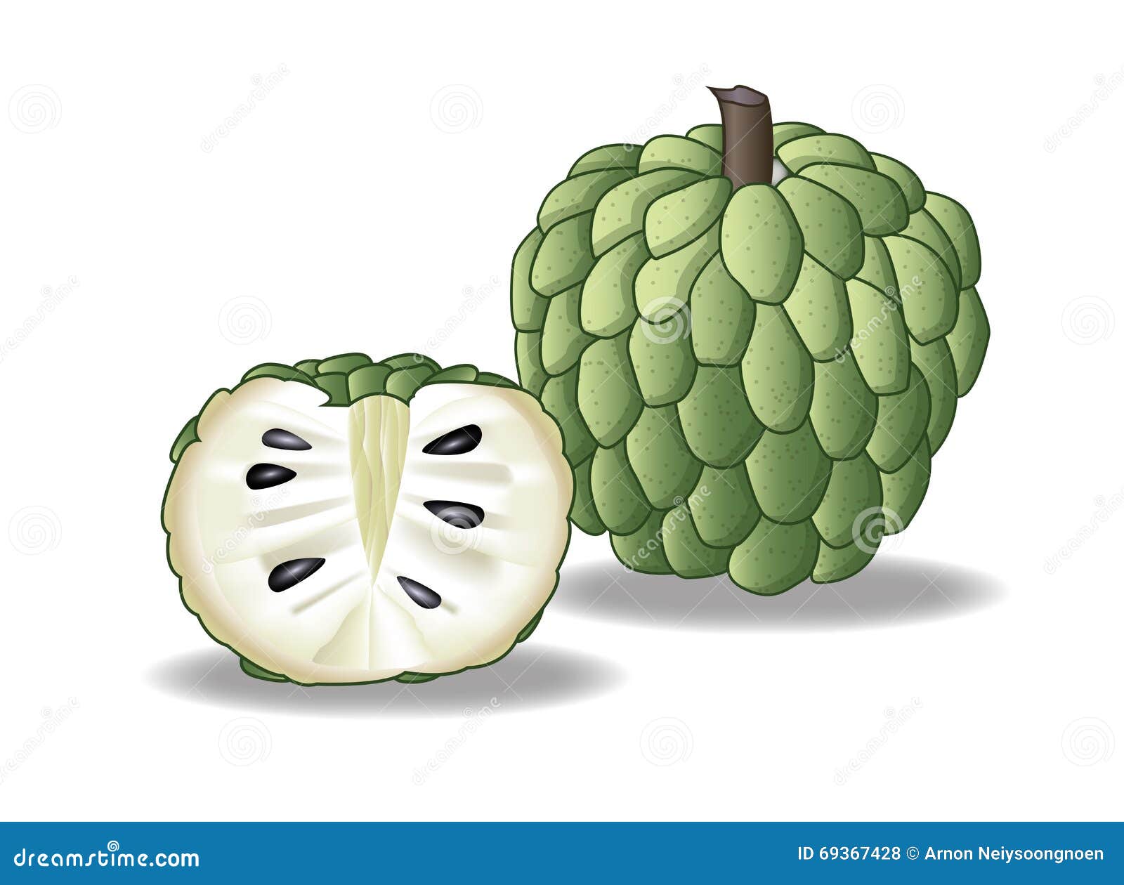Custard apple stock illustration. Illustration of logo 69367428