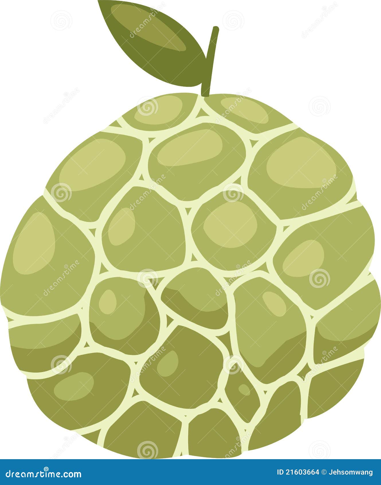 Custard Apple Outline. Isolated Custard Apple On White Background
