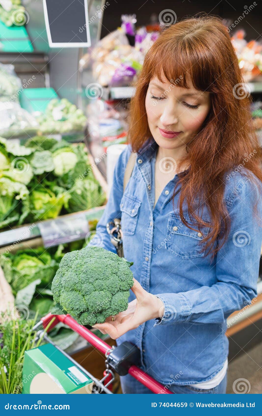 Customer Picking a Broccoli Stock Image Image of trolley, store 74044659