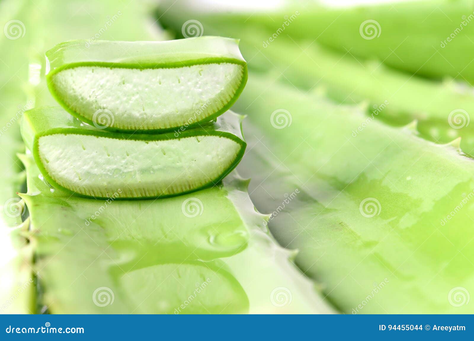 Cut Aloe Vera Leaves On Green Background Stock Photo Image Of