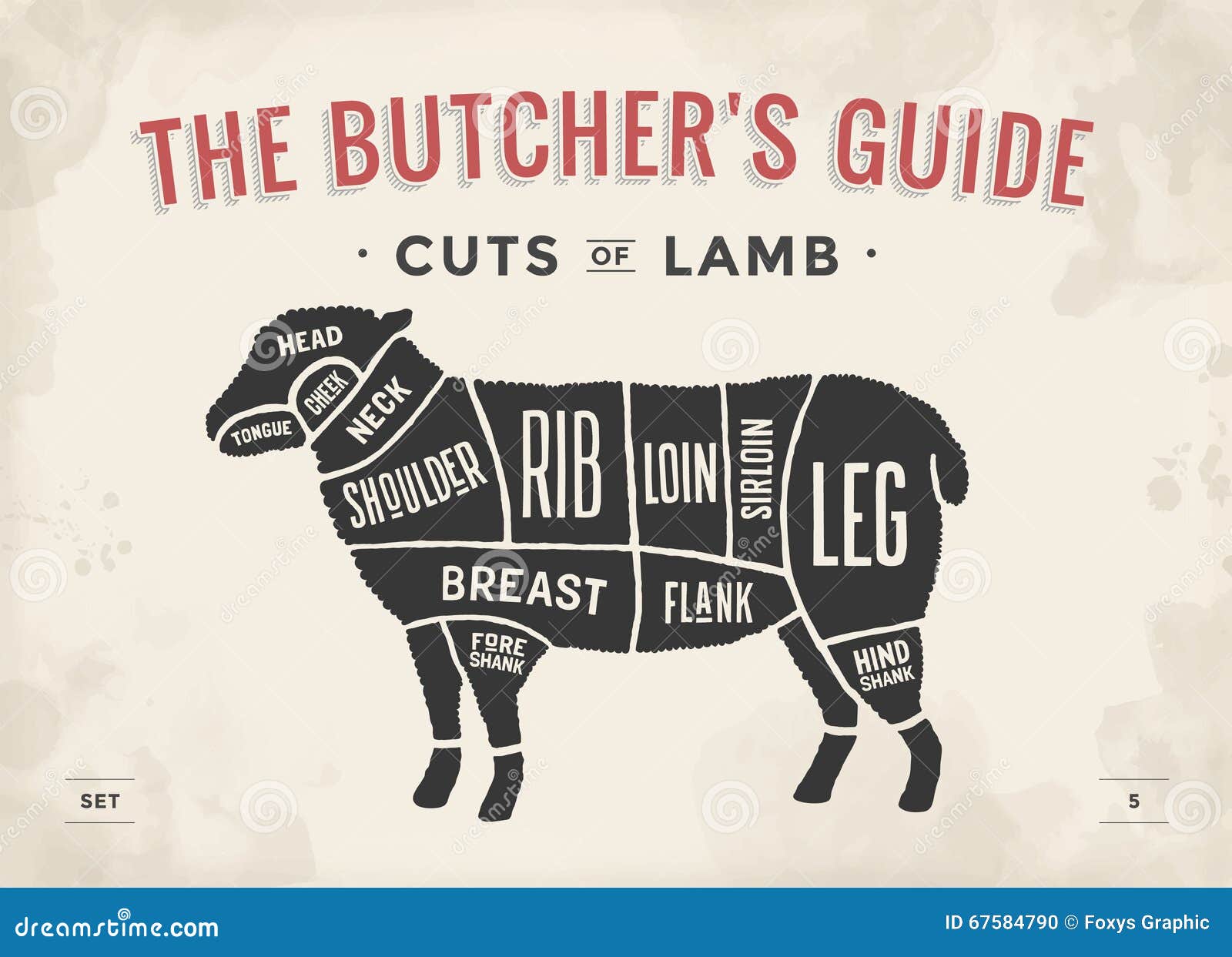 Lamb Meat Chart