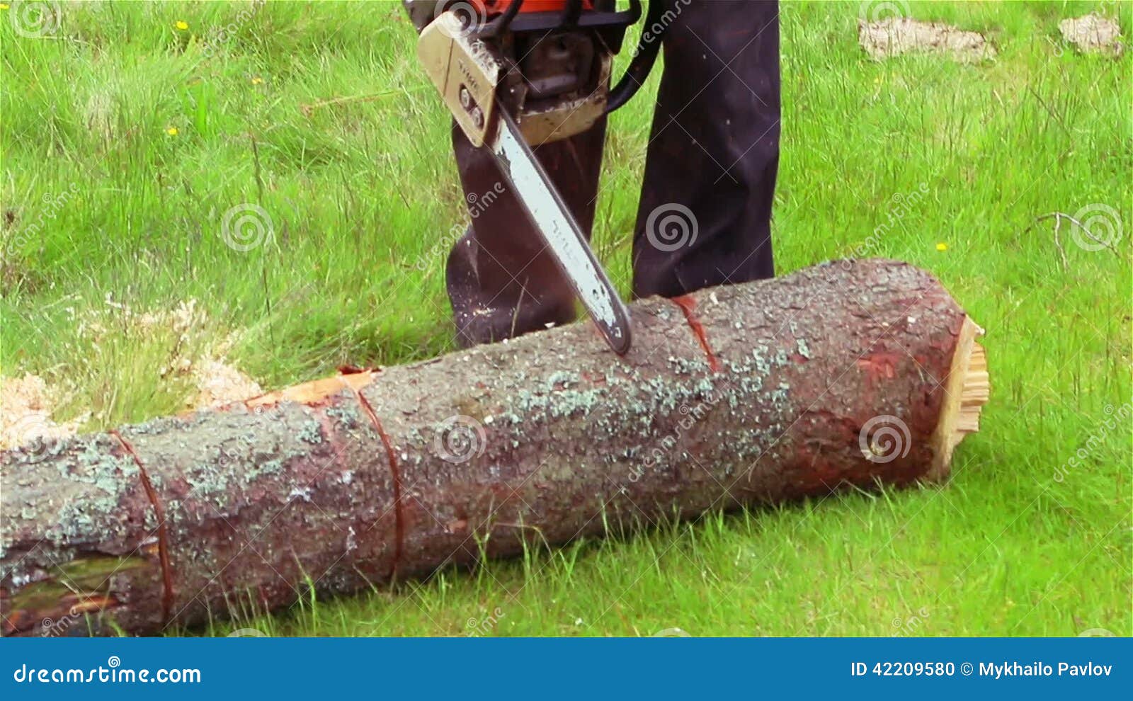 Collection of Chain Saw Video Dreamstime ID26423