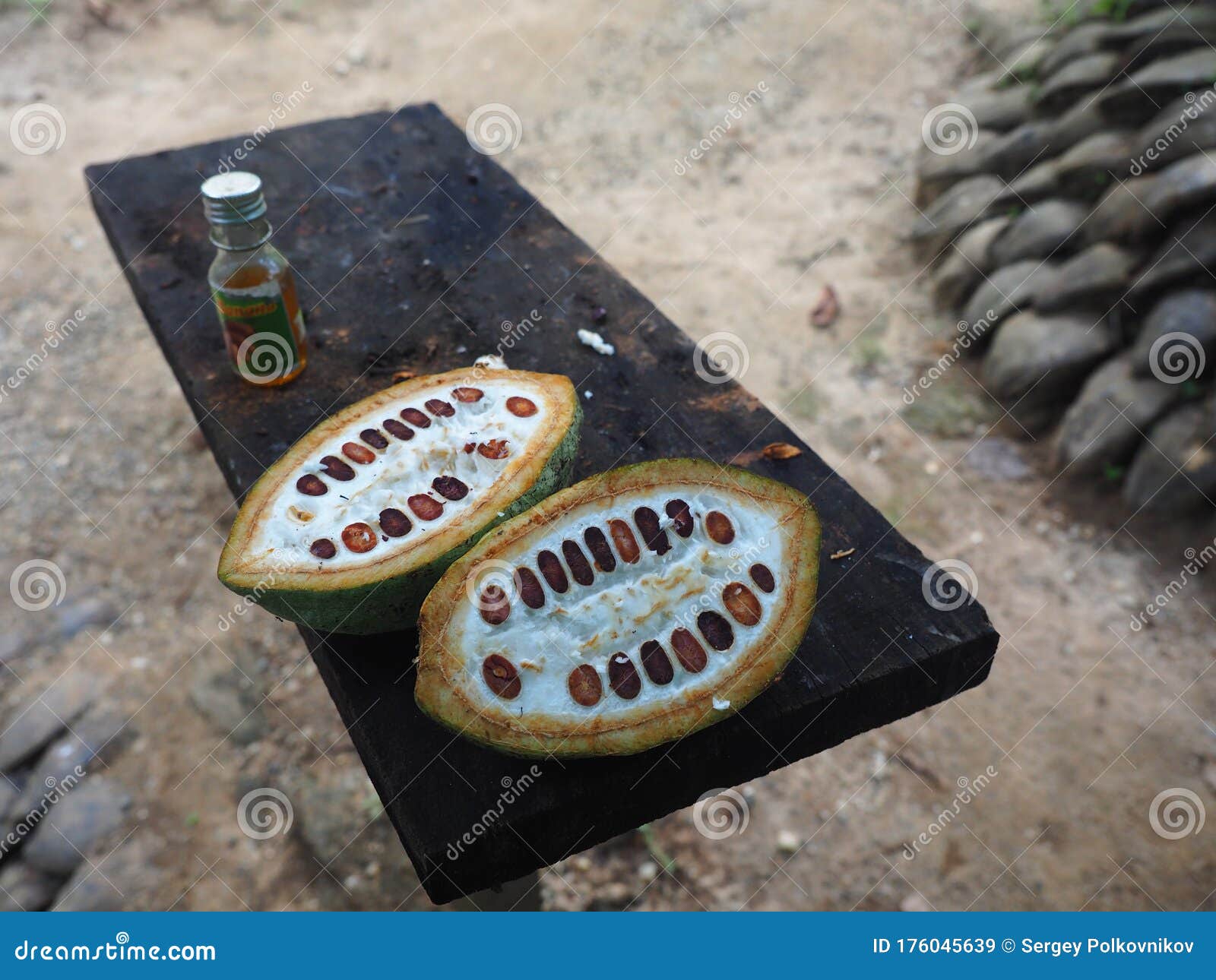 Cut Cocoa Fruit on the Table Stock Image Image of green, chocolate