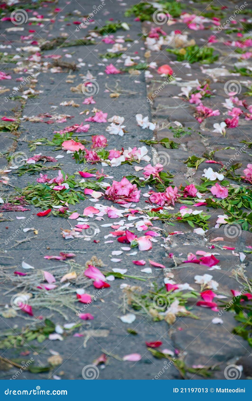 Bethany Clibborn Flowers On Main Street Baguio street dancers officially open Panagbenga 2019