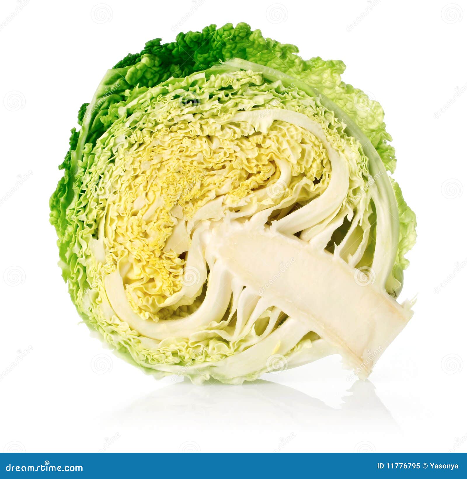 Cut Green Cabbage Fruit Isolated on White Stock Image Image of fruit