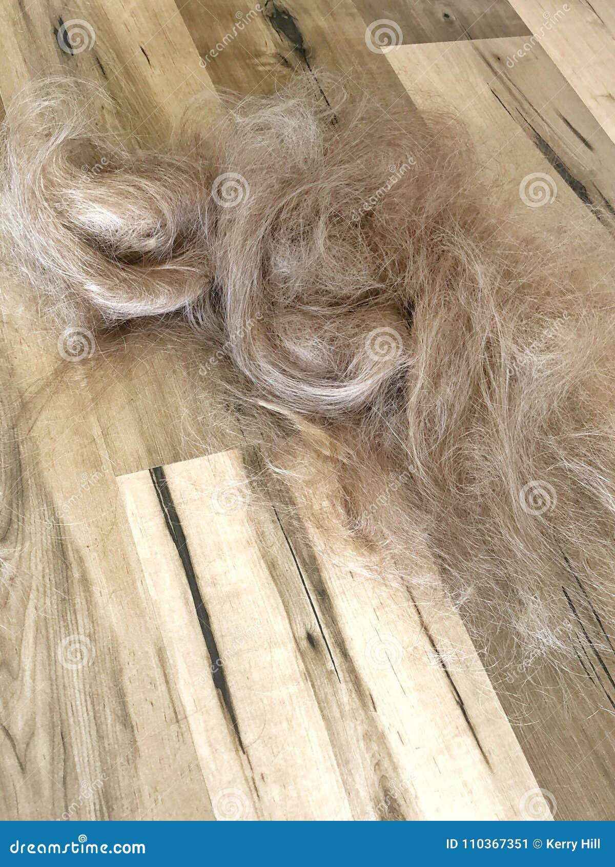 Cut Hair On Salon Floor Stock Image Image Of Hair Long 110367351