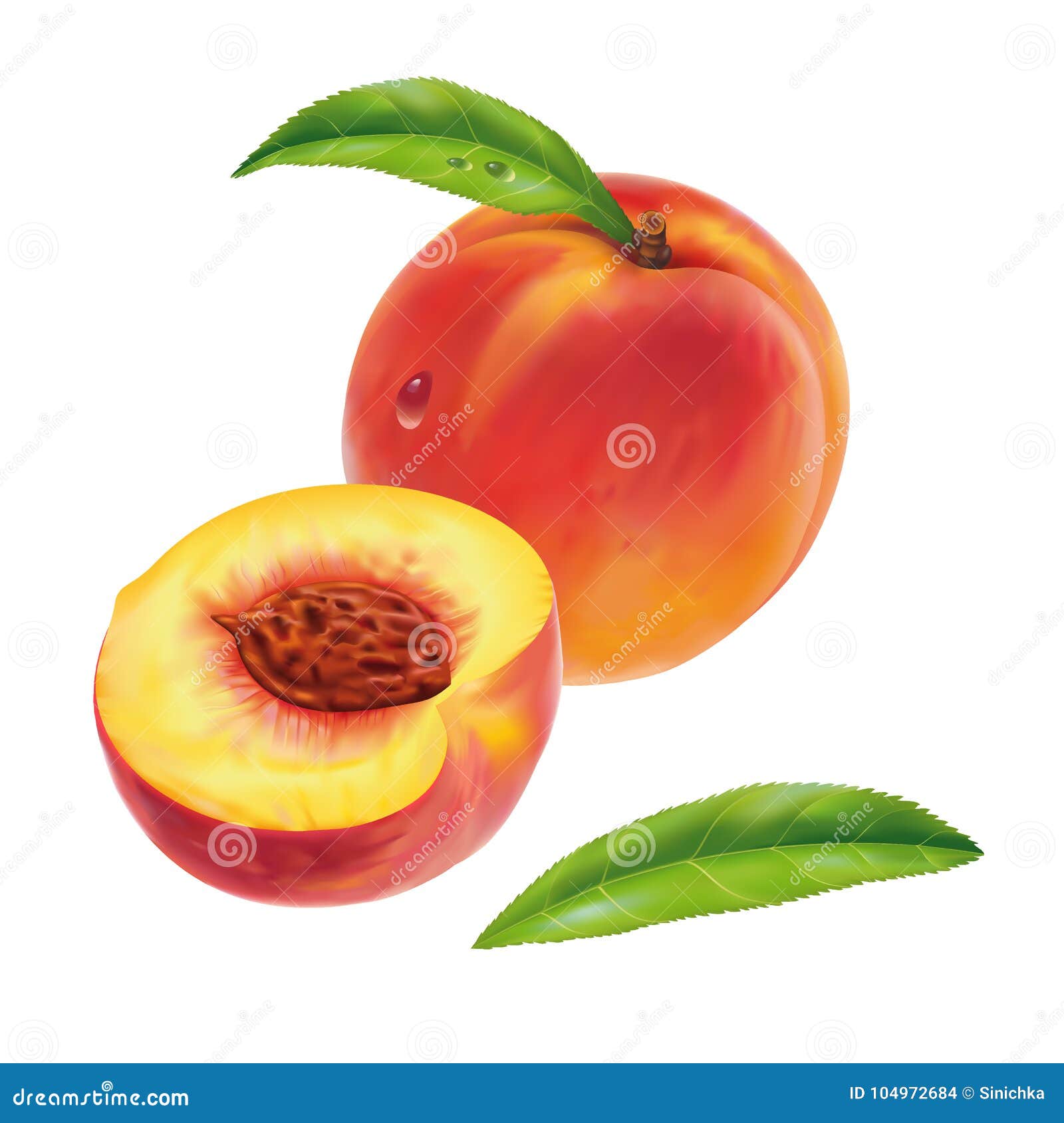 Peach And Half Peach Vector Stock Illustration Illustration Of Food Juice