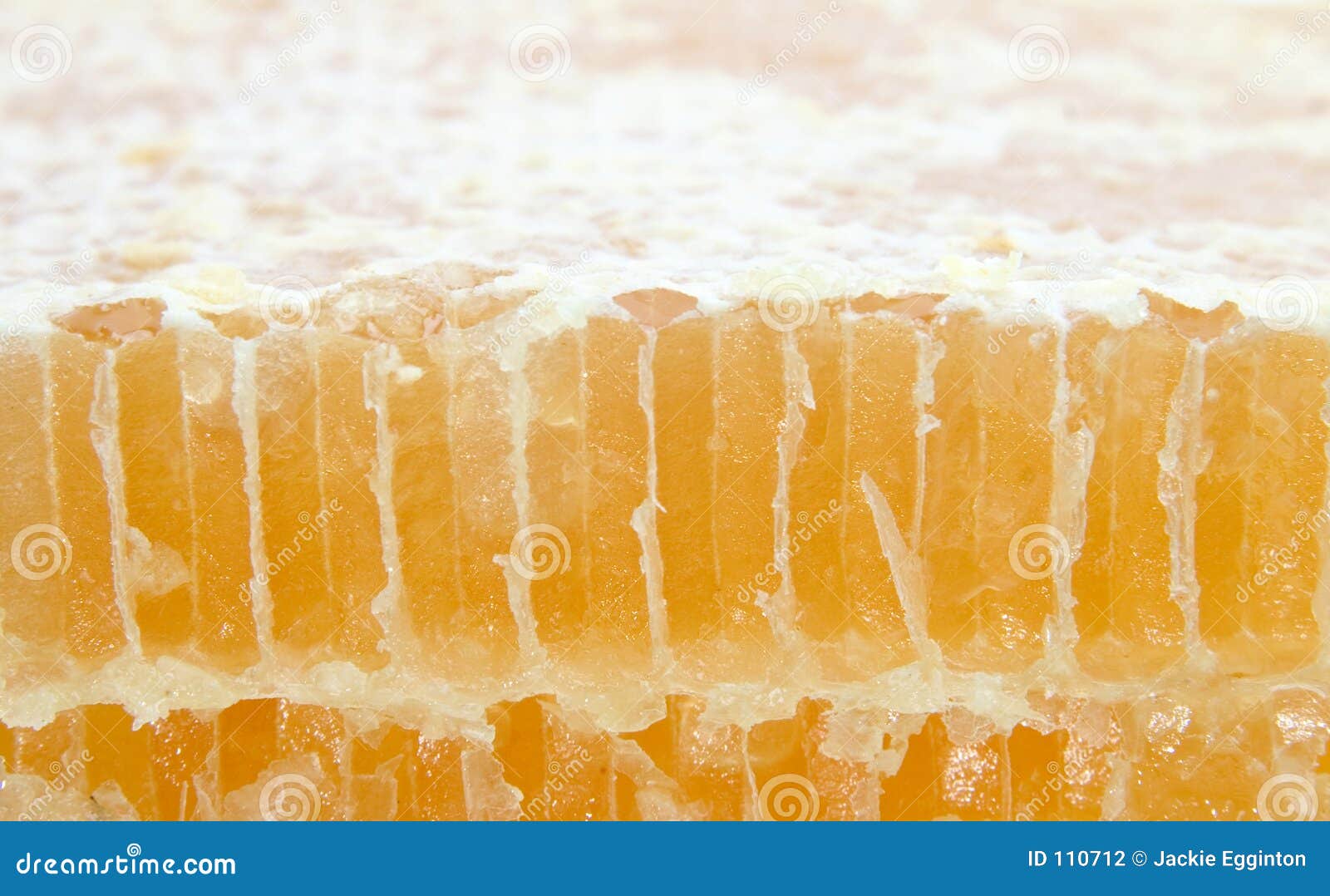 Cut Honey comb stock photo. Image of pollen, bees, sweet 110712