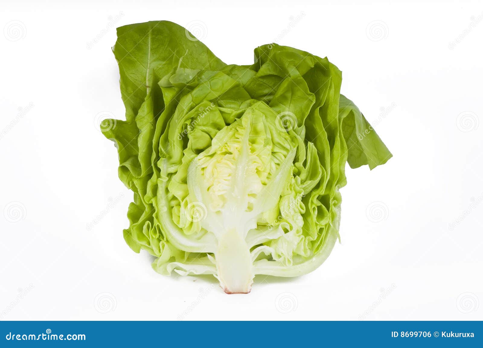 Cut lettuce stock photo. Image of dieting, head, leaf 8699706