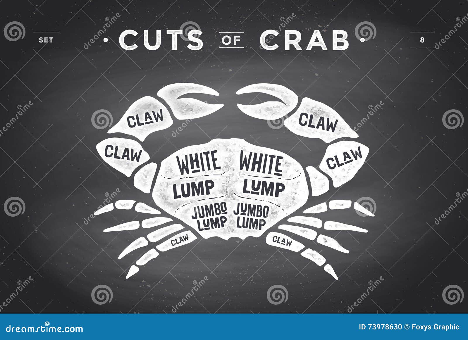 cut of meat set. poster butcher diagram and scheme - crab