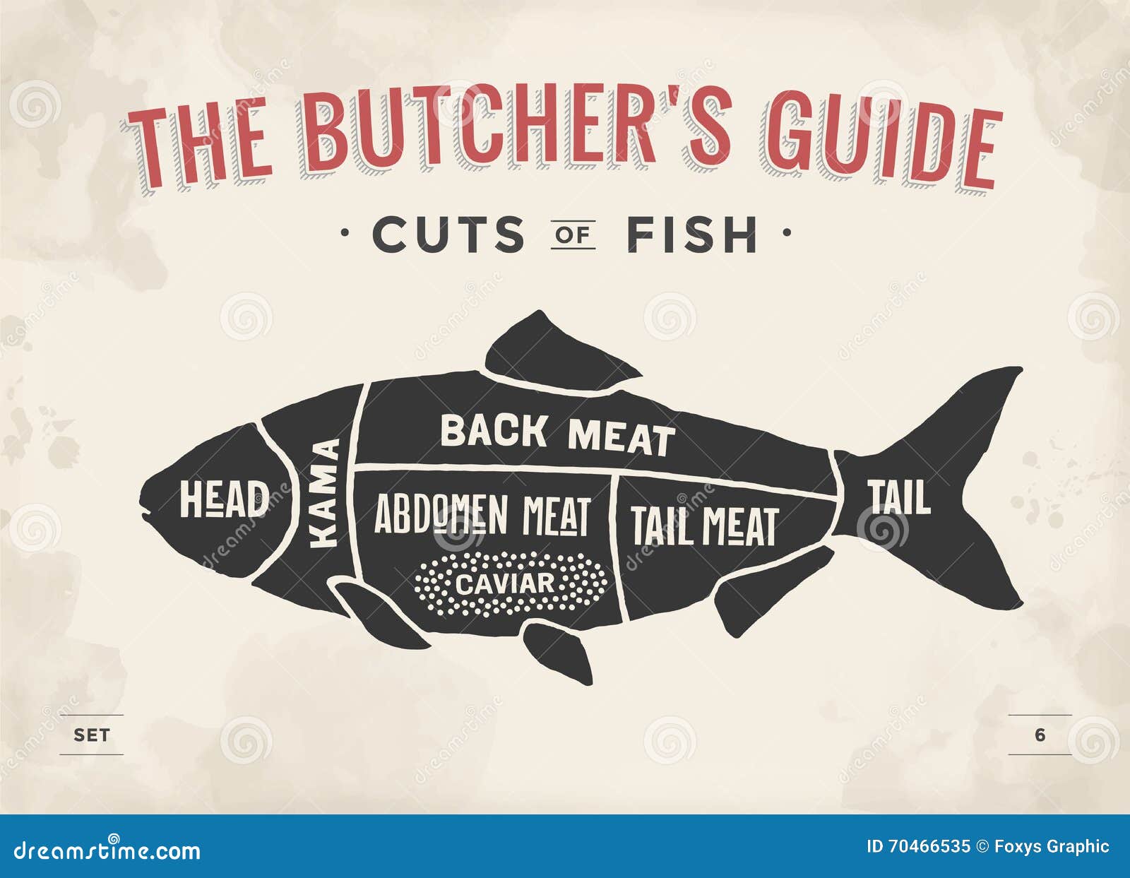cut of meat set. poster butcher diagram and scheme - fish. vintage typographic hand-drawn