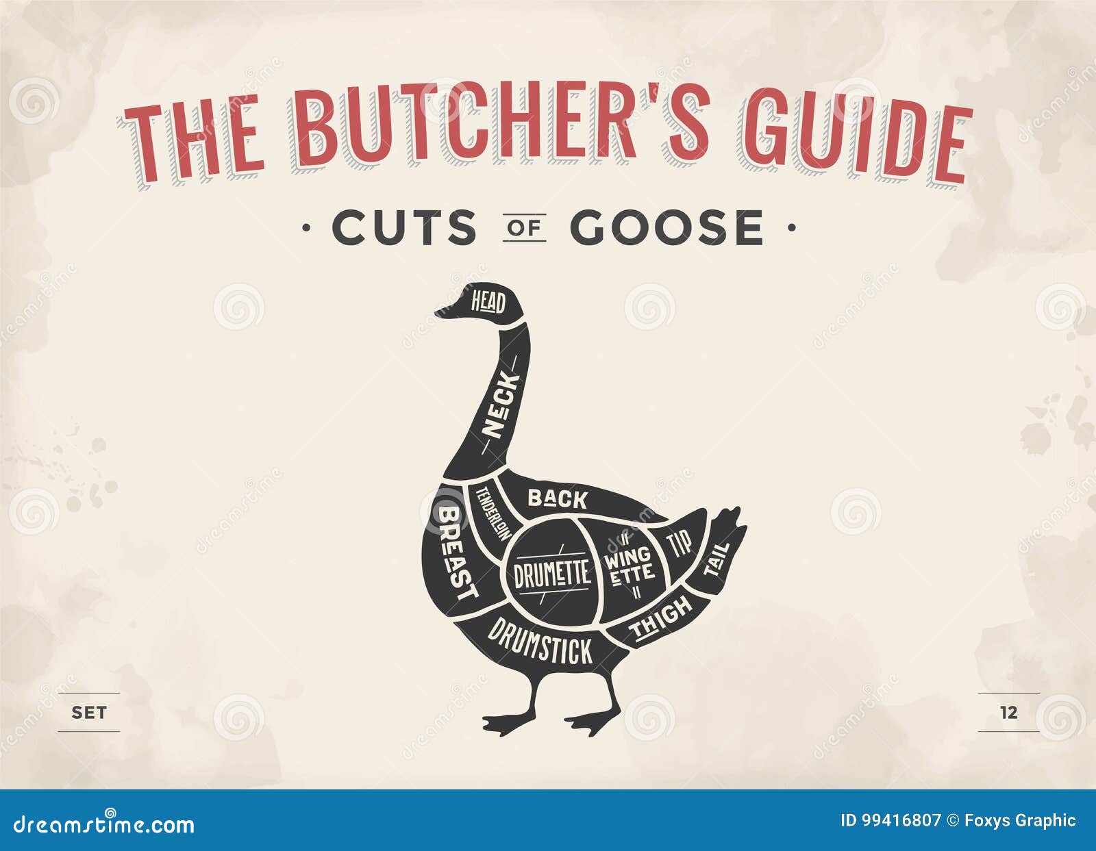 cut of meat set. poster butcher diagram, scheme - goose