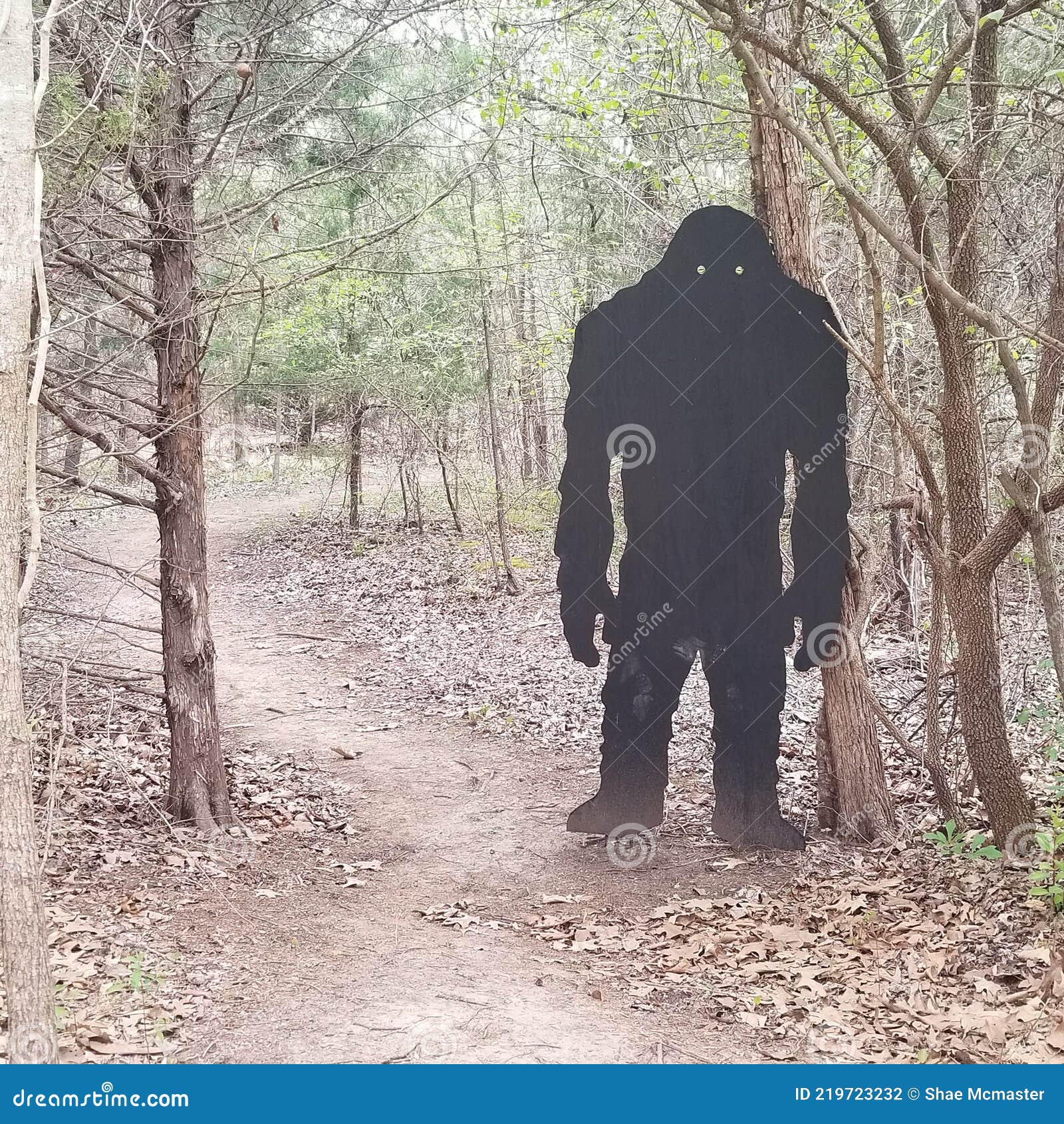 Cut out of bigfoot stock photo. Image of wood, tree - 219723232