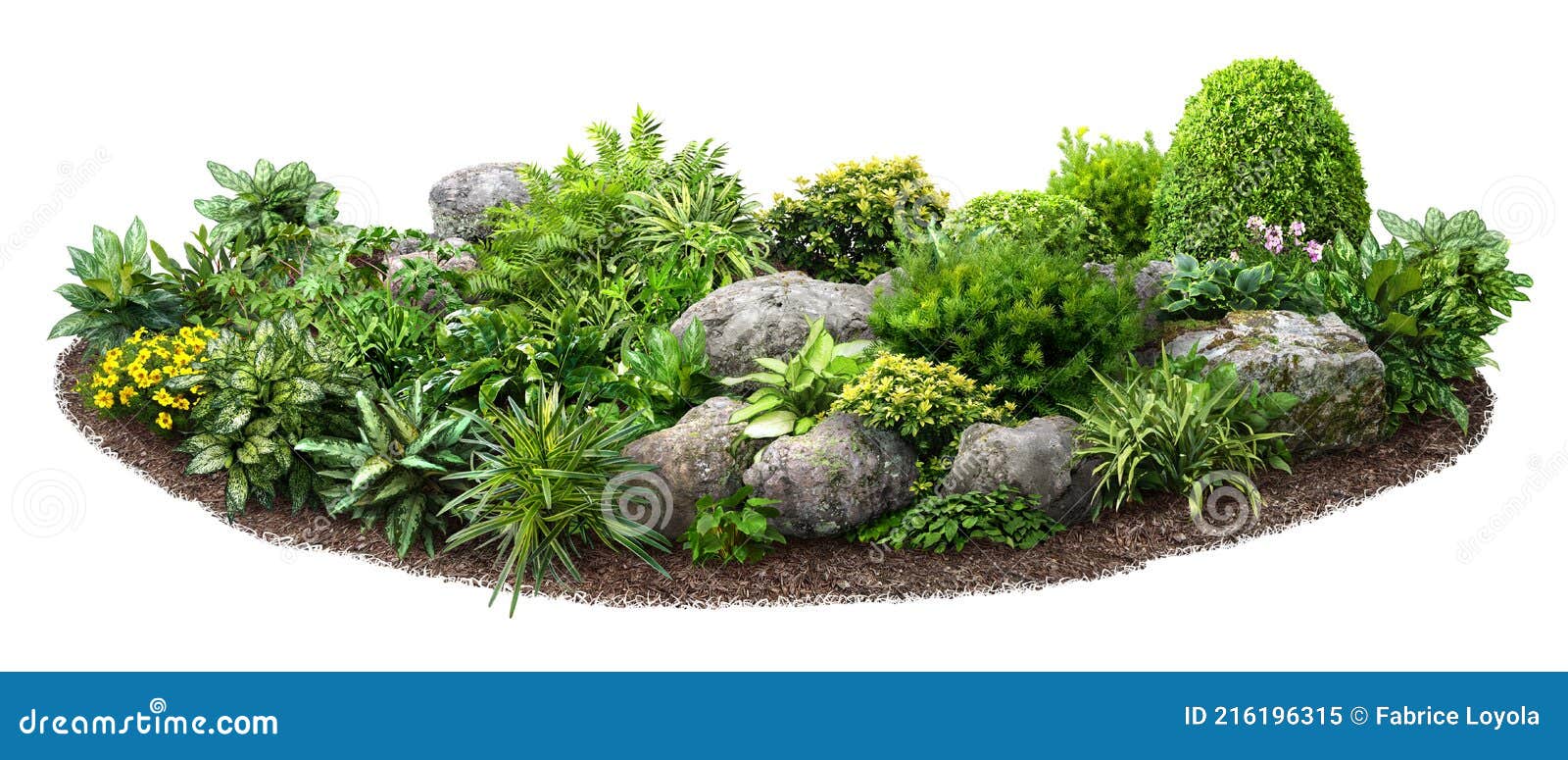 Cut Out Flowerbed. Garden Design. Stock Image - Image of hedge, garden:  216196315