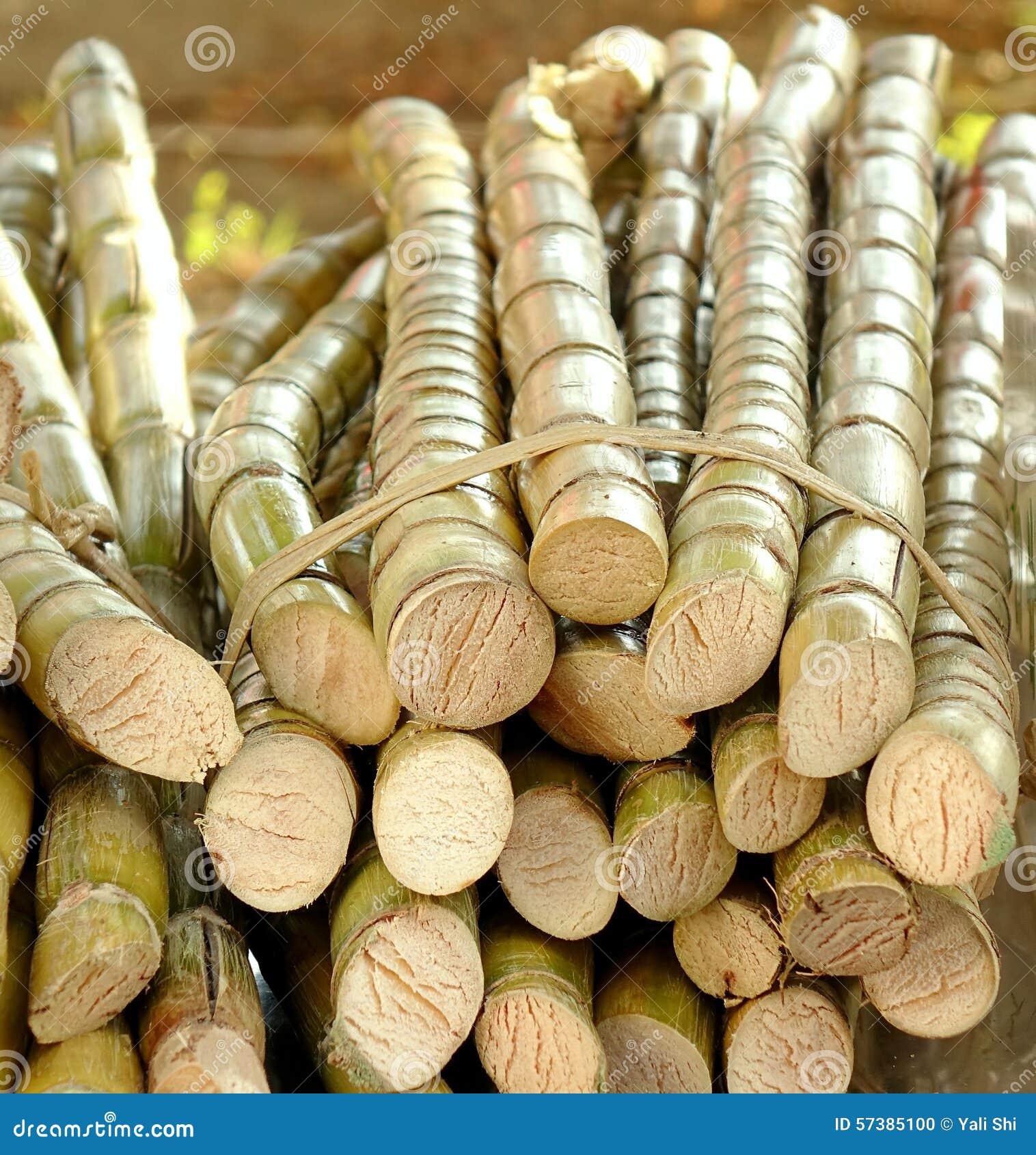 Cut Sugar Cane for Sale stock photo. Image of grass, fiber 57385100