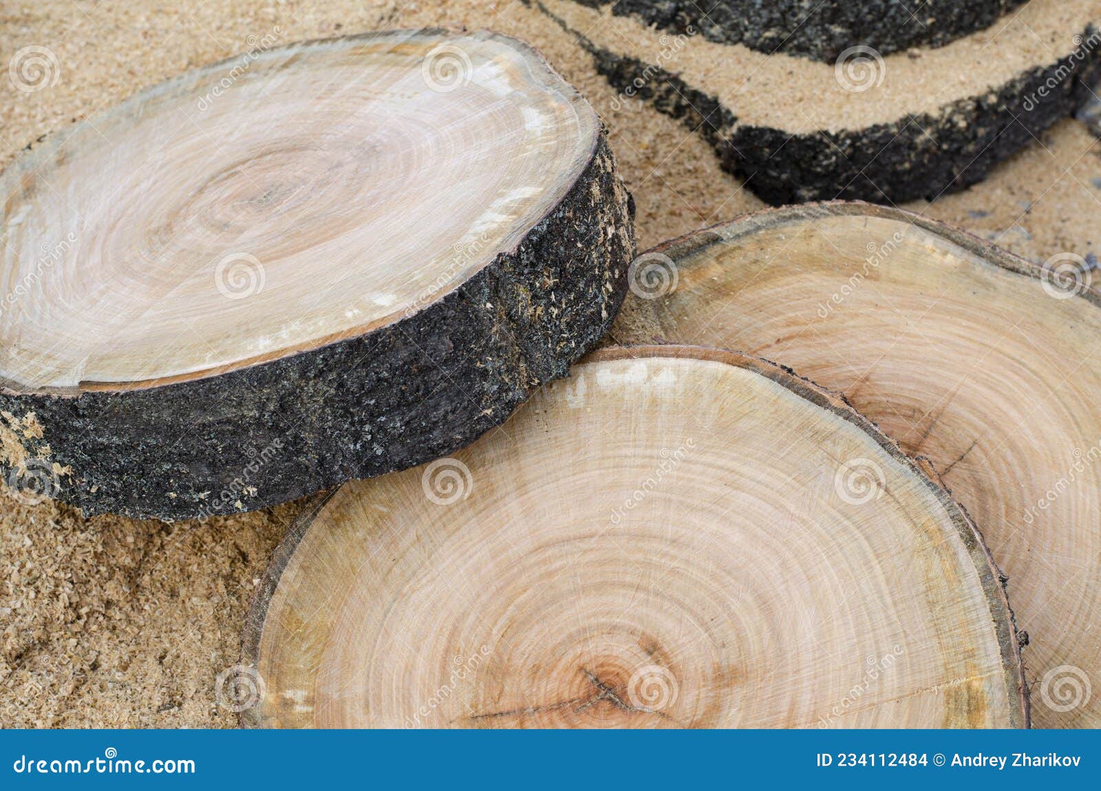 Cut a Tree. Slice. Wooden Slab. Tree Rings of the Trunk. Stock Photo
