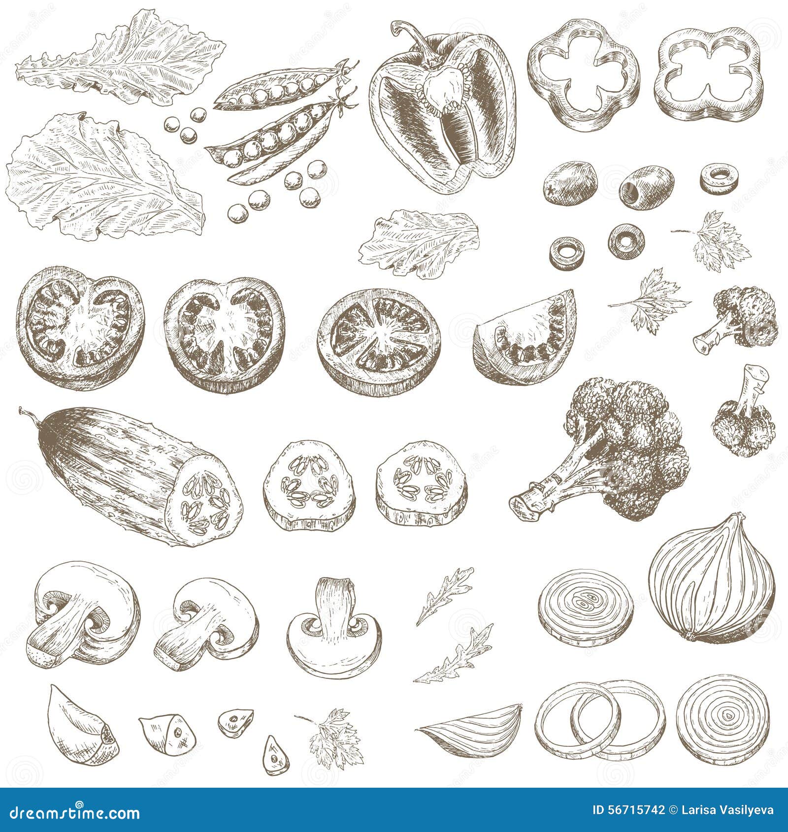 Cut Vegetables Stock Vector Image 56715742