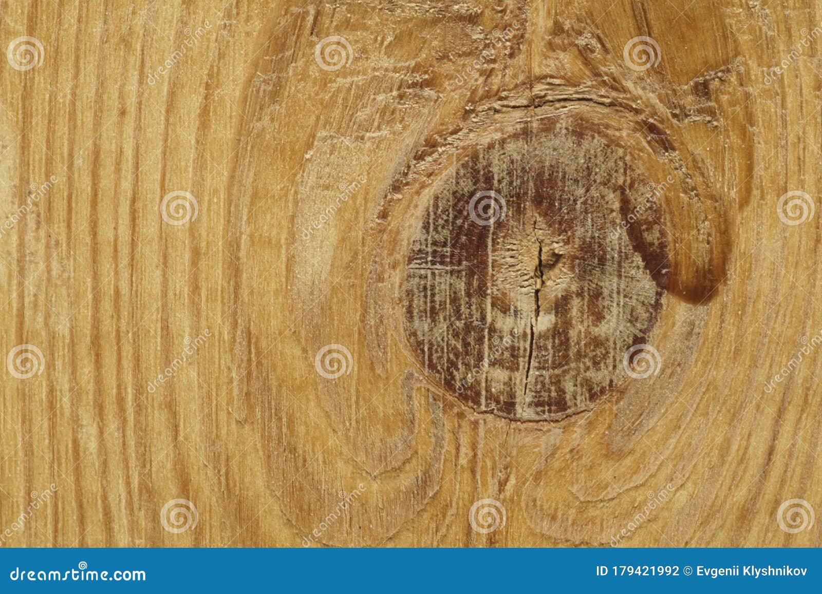 Cut Wood Knot Wooden Board with a Cut Knot Stock Photo Image of