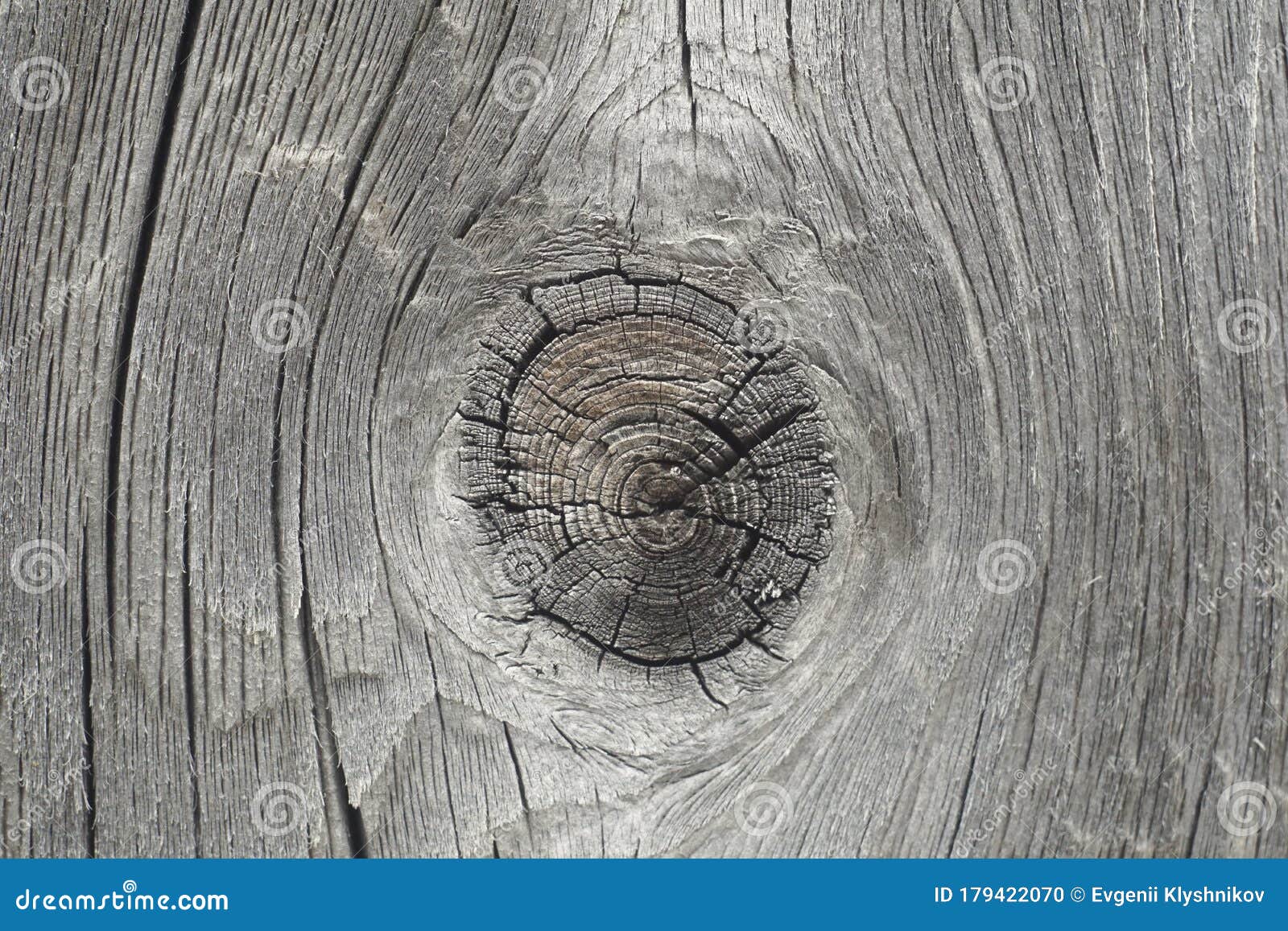 Cut Wood Knot Wooden Board with a Cut Knot Stock Photo Image of rough